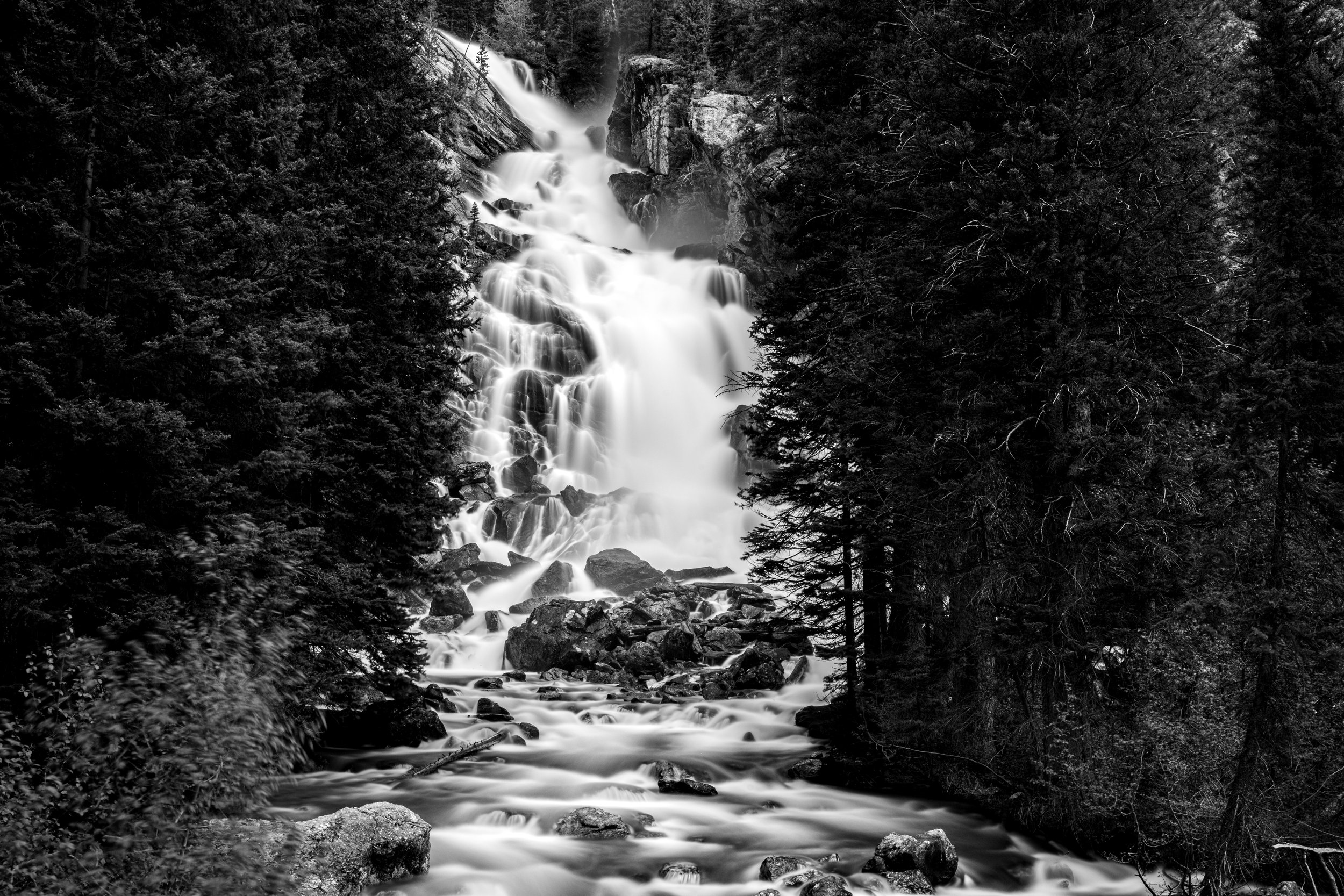 DSC_4671.jpg
