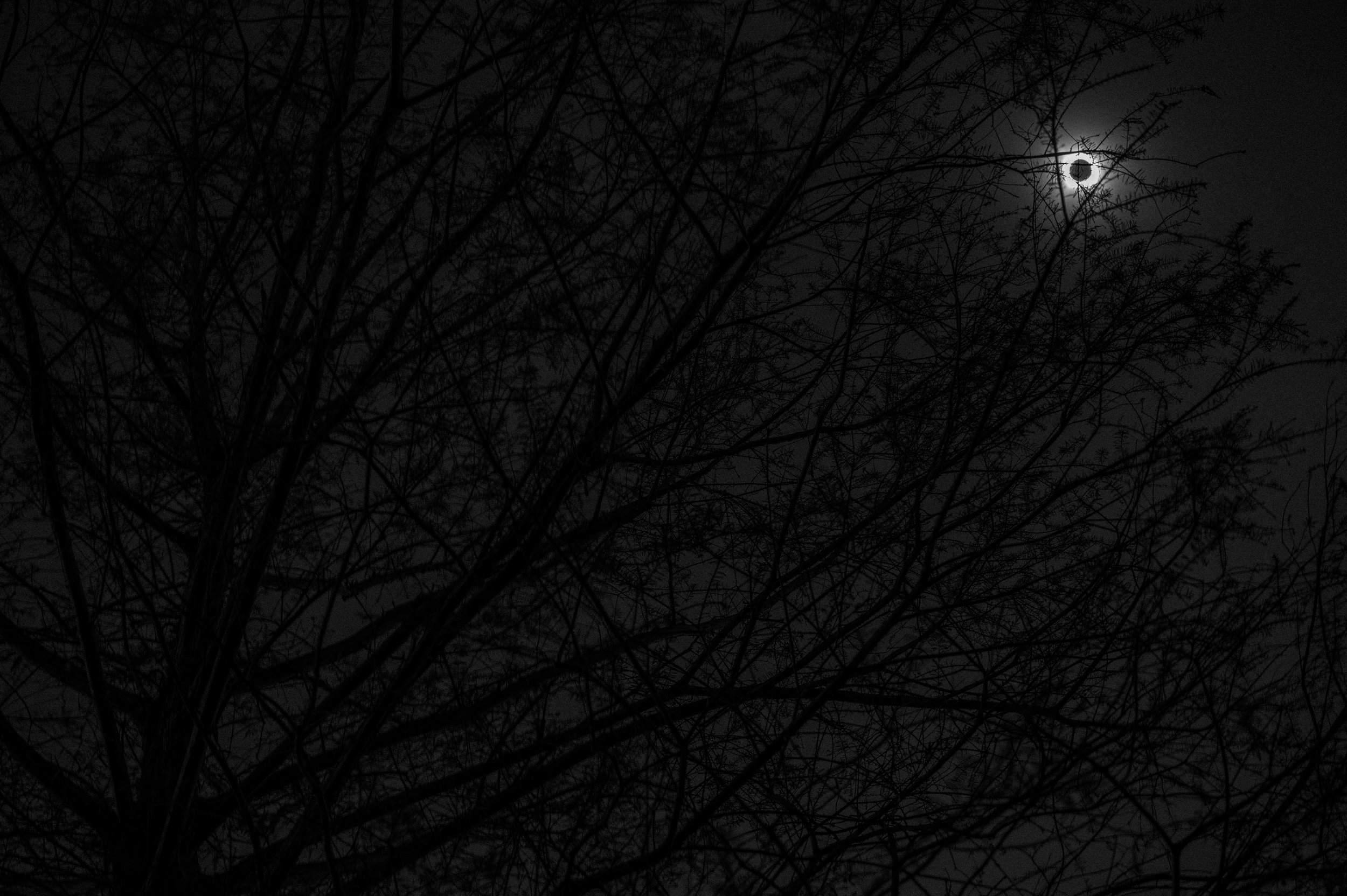 DSC_4223-HDR.jpg