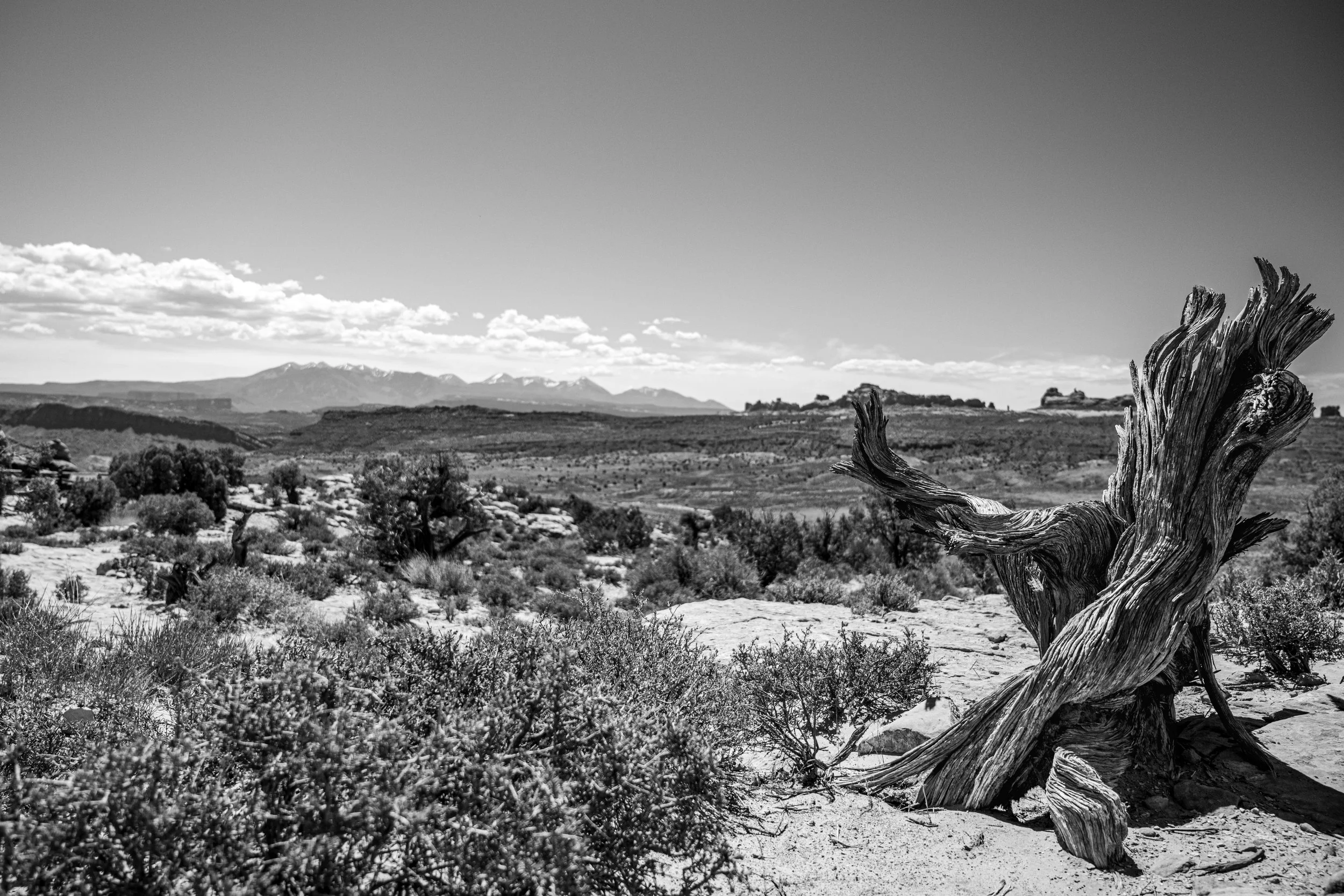 DSC_5617.jpg