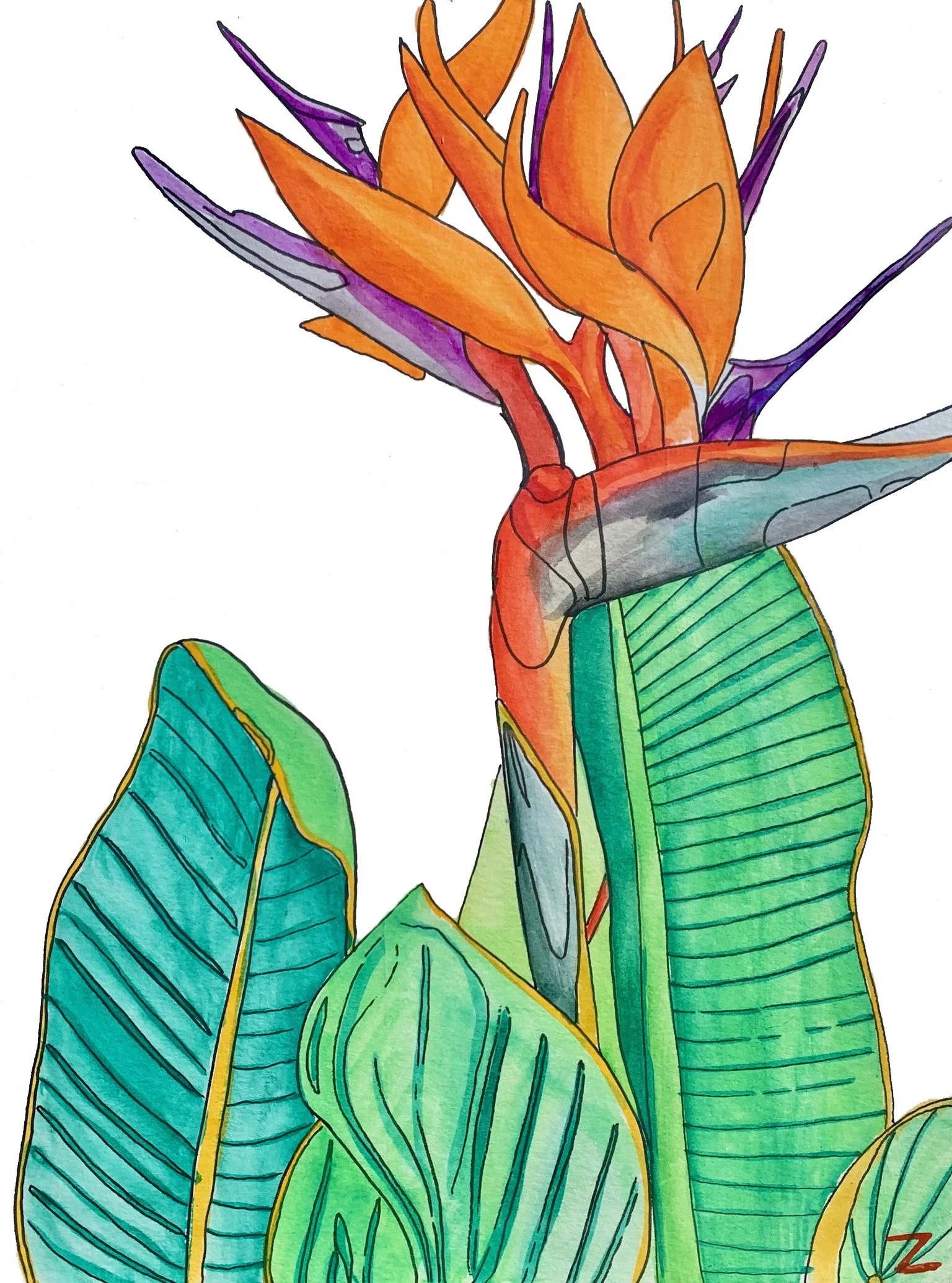 Hawaii Flower 9” x 11”