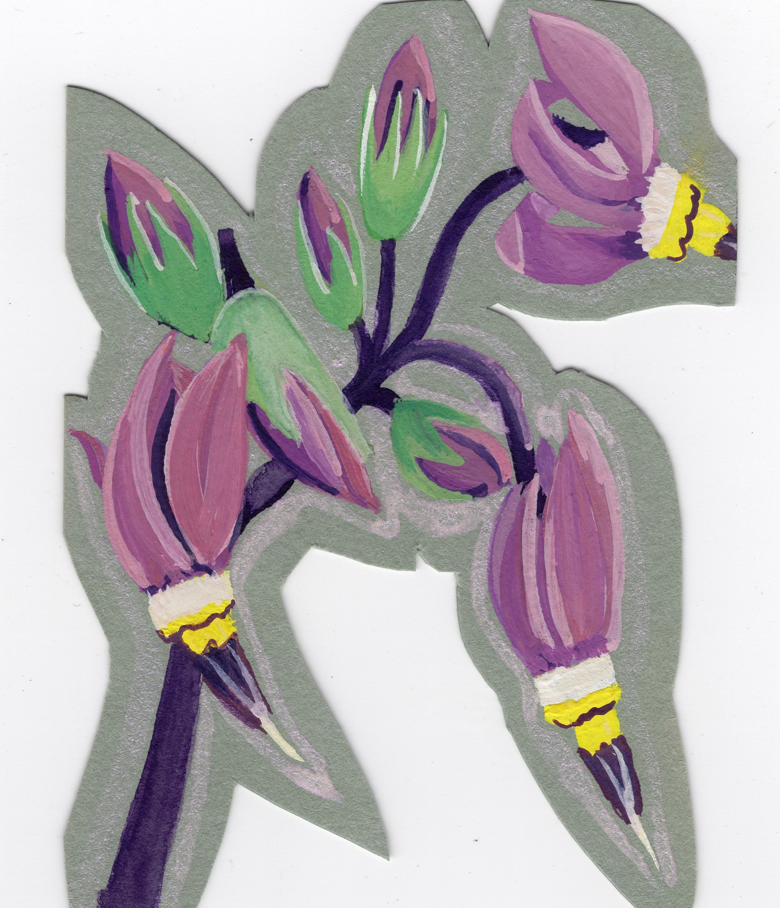 PRETTY SHOOTING STAR - 2.5x3.5&rdquo; gouache and watercolor on cotton paper framed in acrylic panels for freestanding display. For sale @jkrgallery. Link in bio. 

#businesscardart #smallartwork #floralart #aplineflowers #gouache