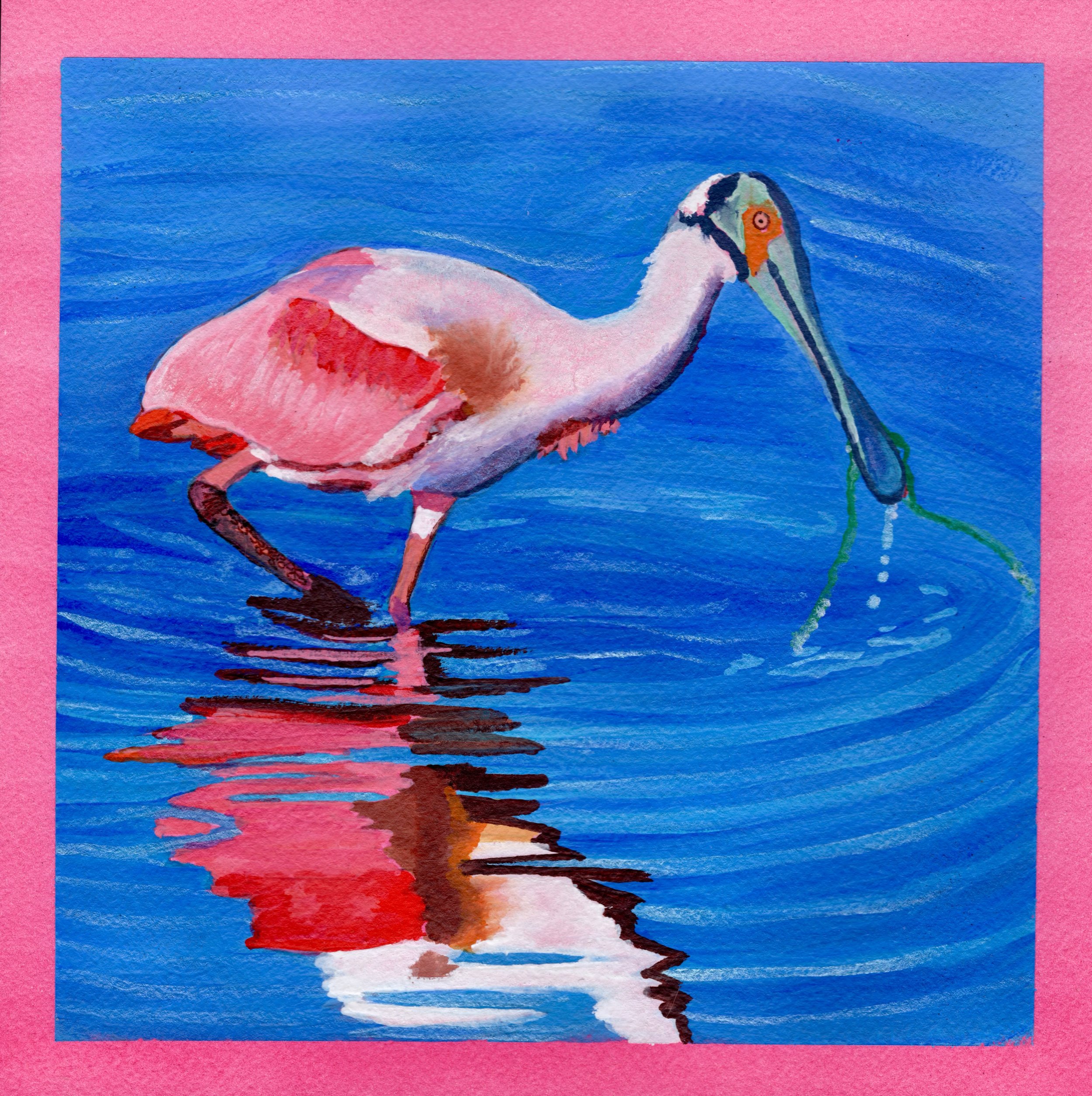 Turning Pink 🩷
An original 8 &times; 8&rdquo; watercolor and gouache painting.

A roseate spoonbill wades through sapphire waters, its pink feathers glowing against the blue. Instead of prey, it emerges with trailing emerald seaweed, droplets gliste