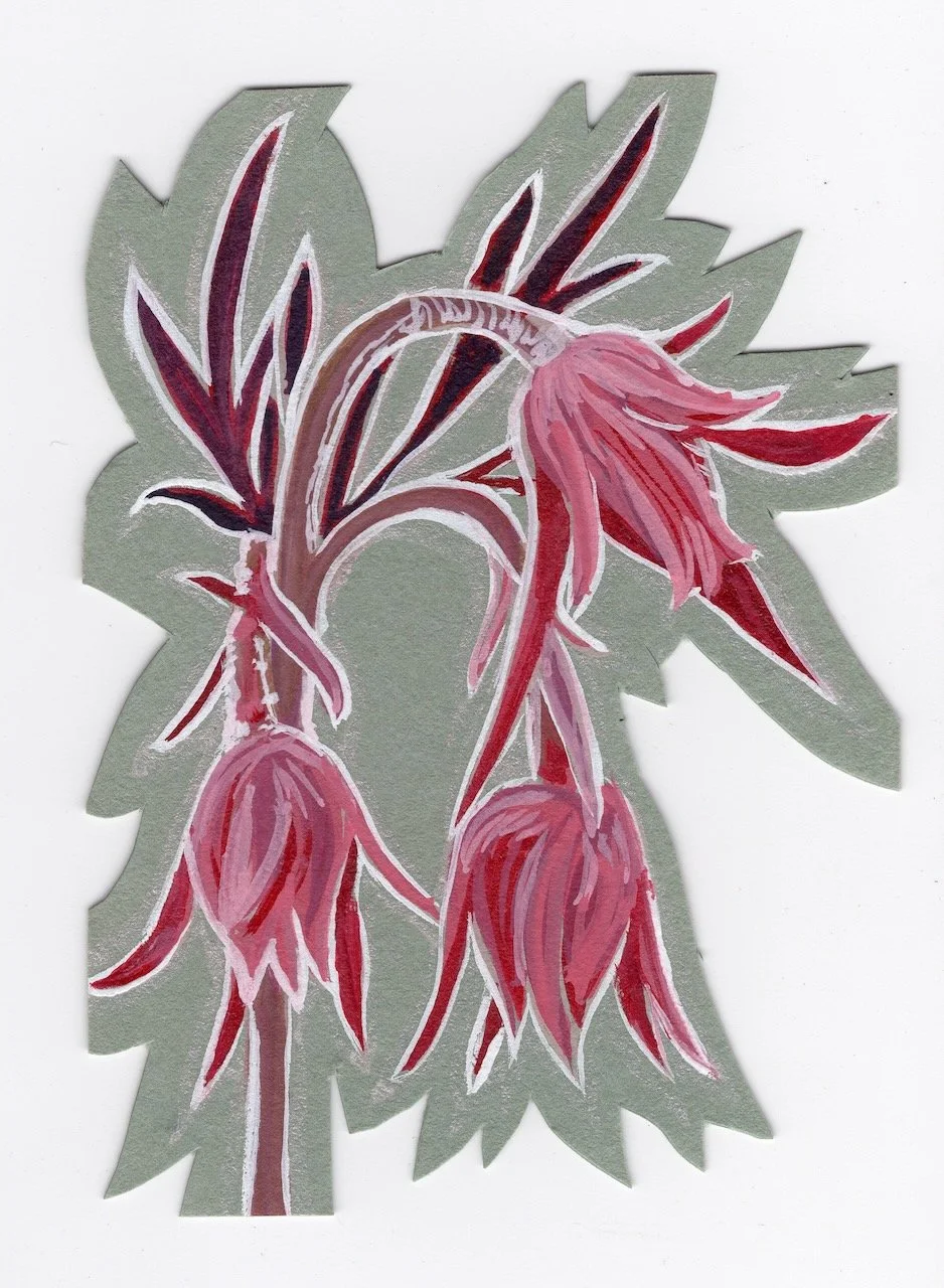 Prairie Smoke.jpeg