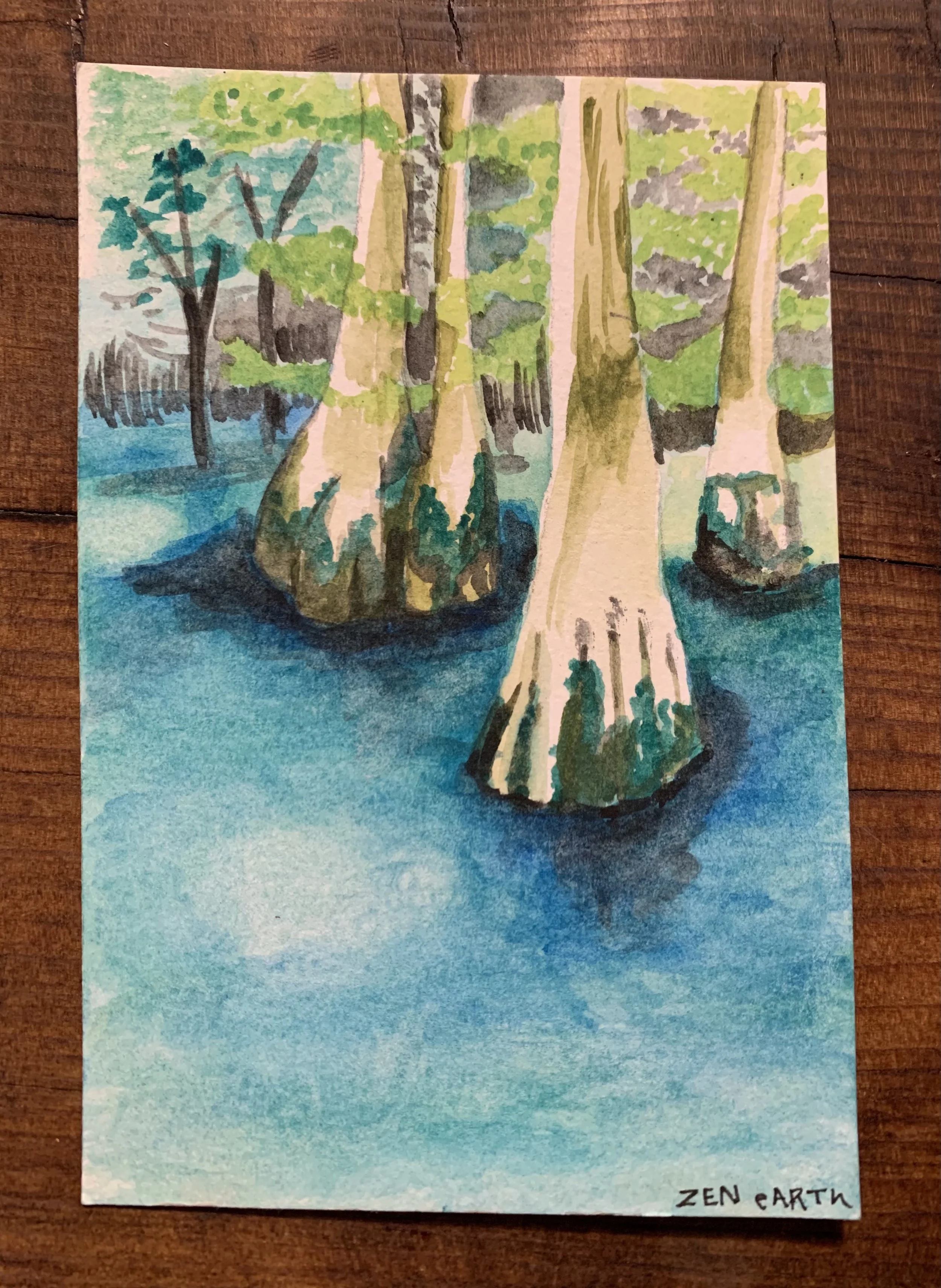 Florida Cypress 9” x 11”