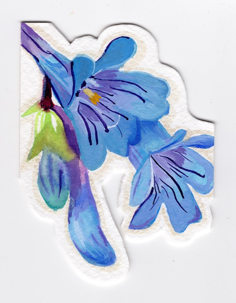 Electric Blue Penstemon.jpeg