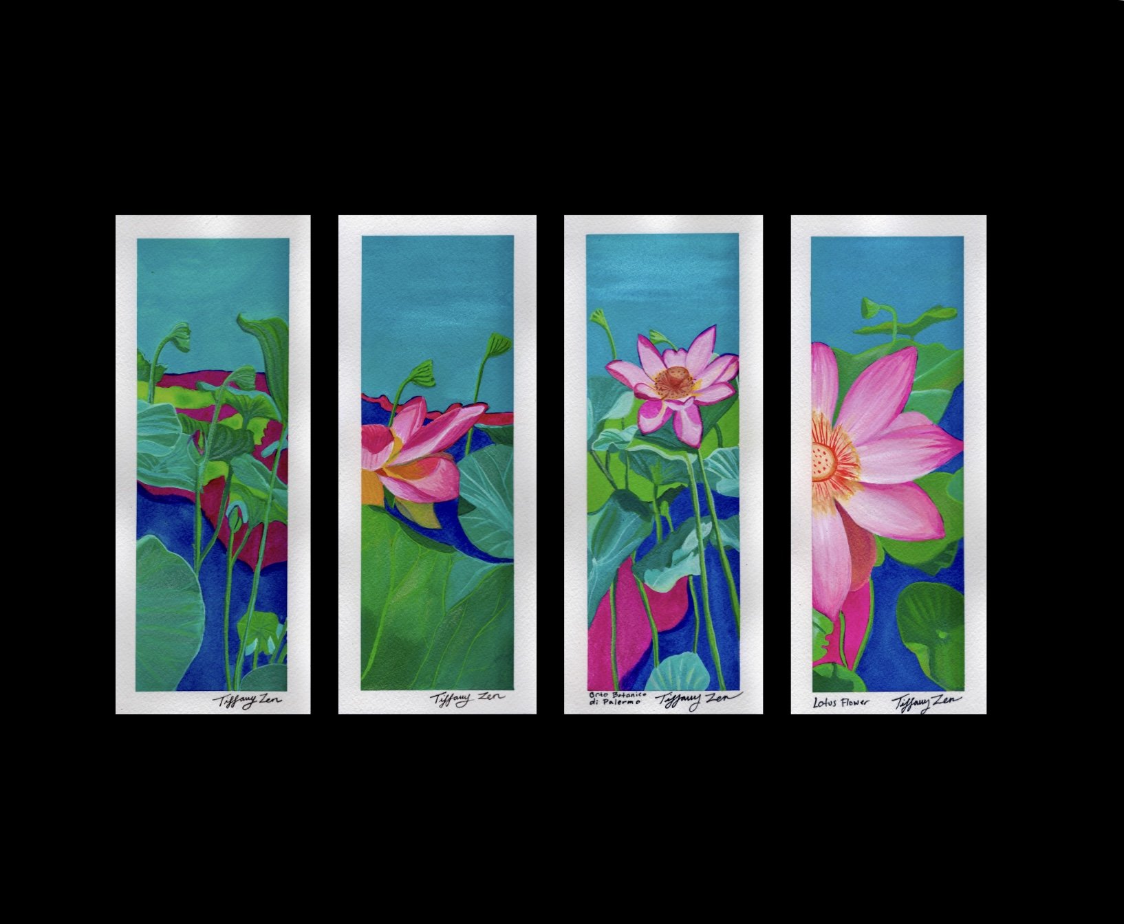 Lotus series .pdf.jpeg