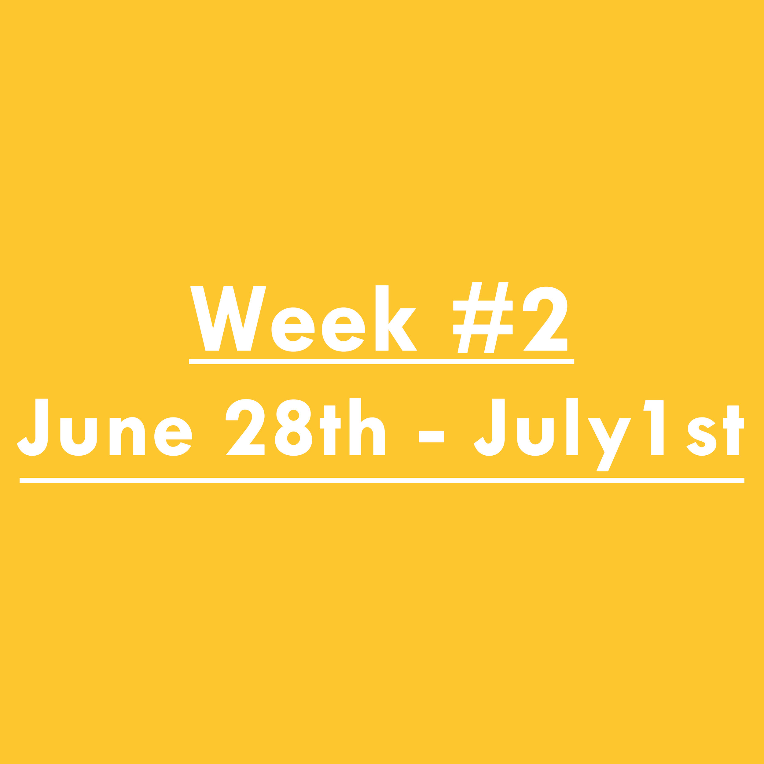 Summer Camp Week #2 - June 28th- July 1st