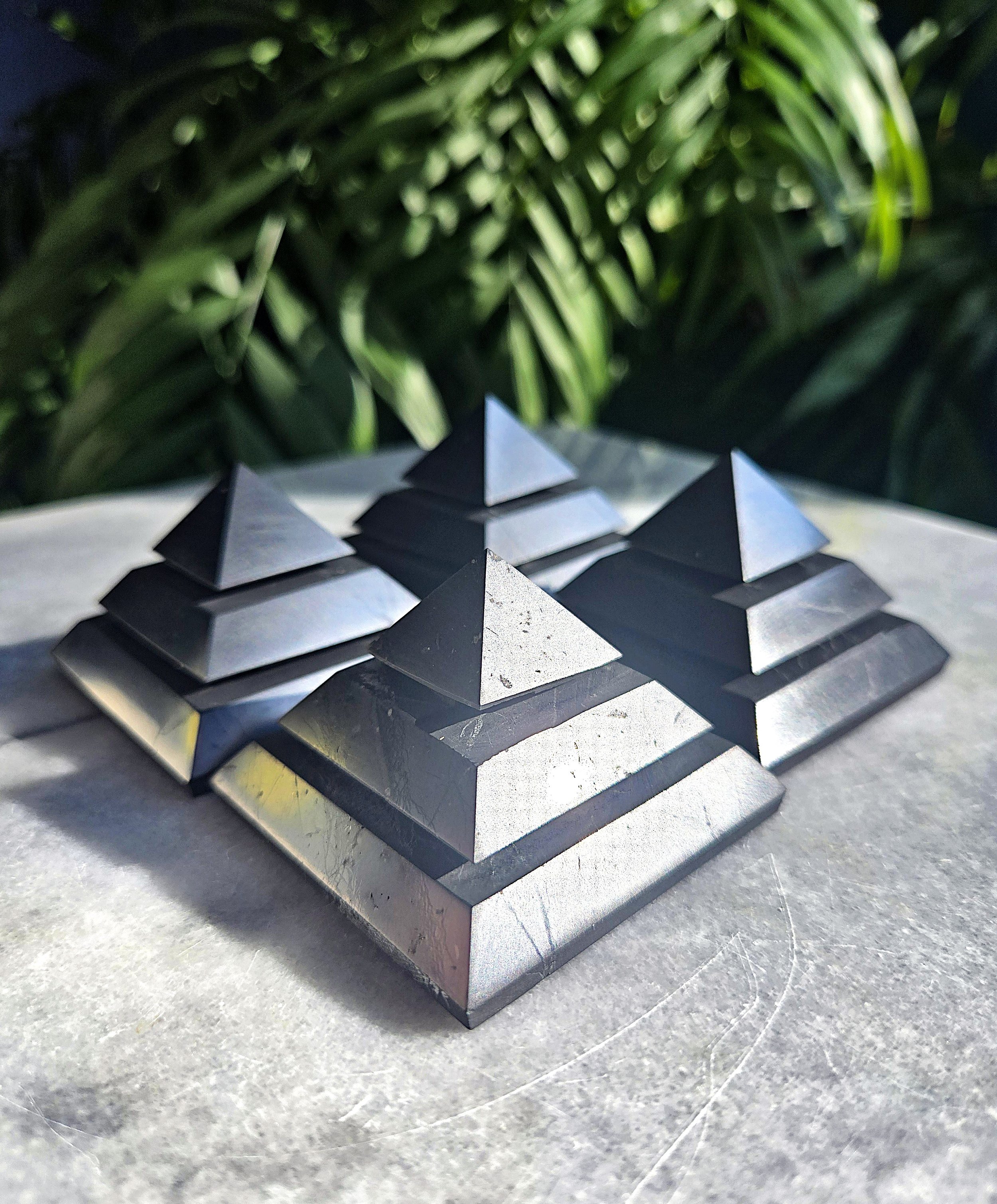 20260209_135750 edit.jpg