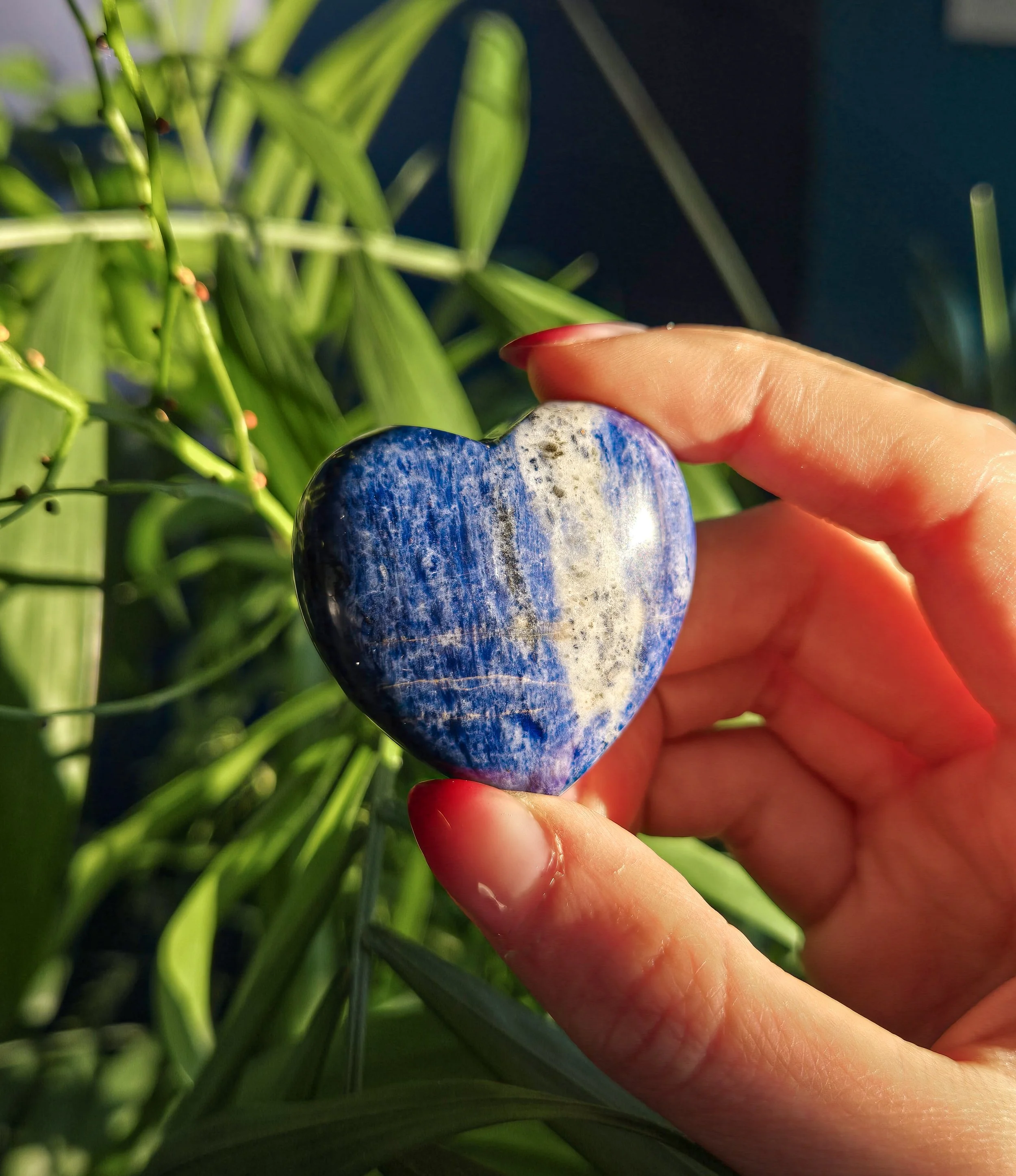 20260202_160742 (2).jpg