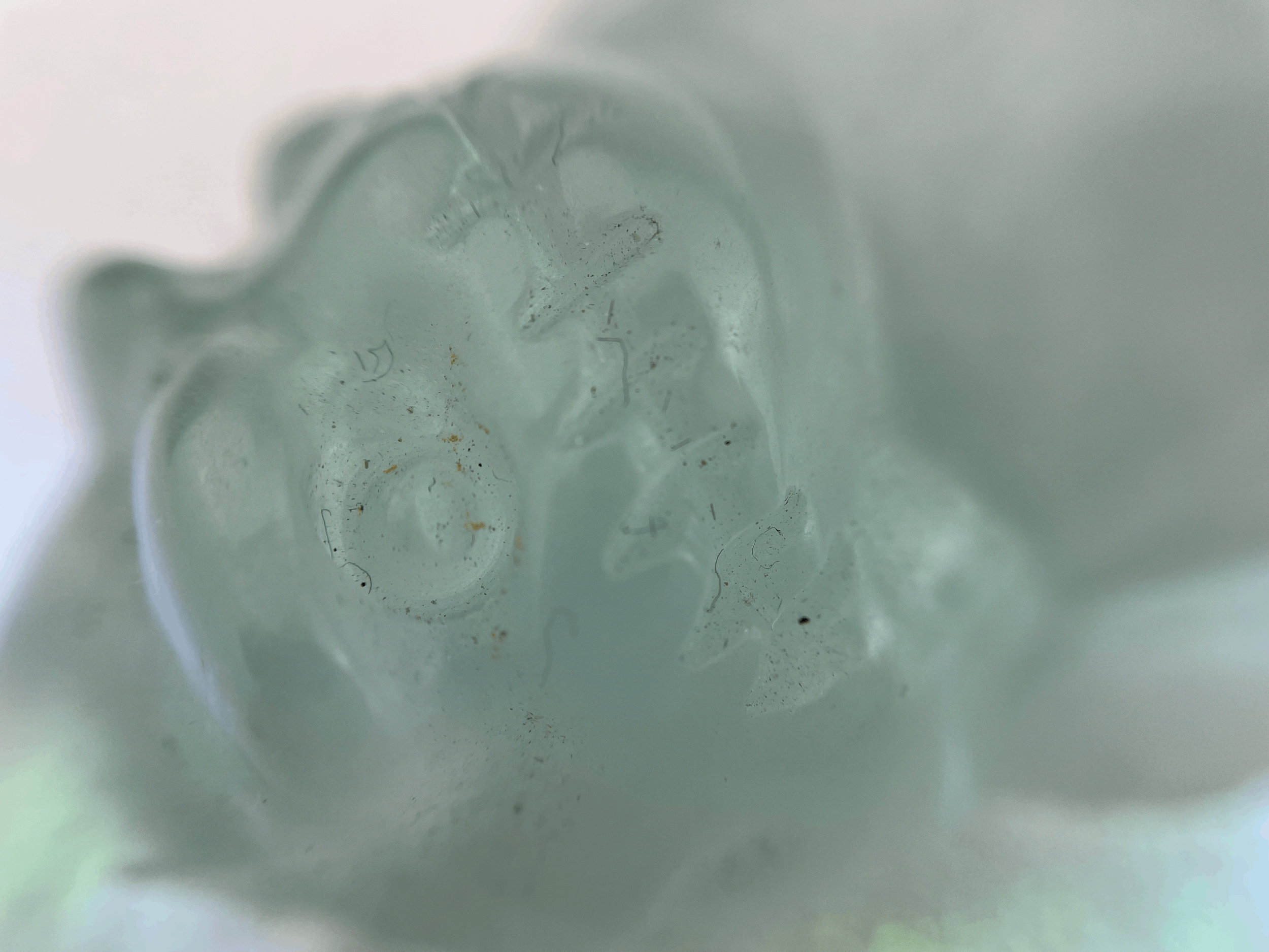 tempImageYpR52o.gif