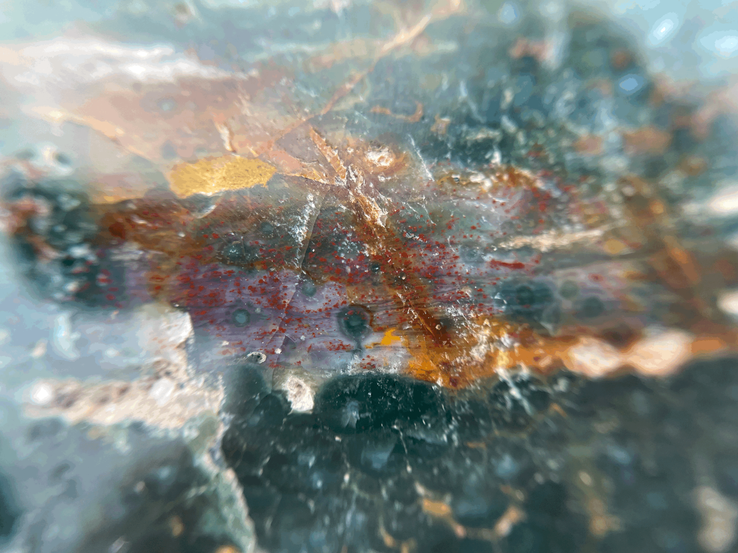 tempImage2A8qXV.gif