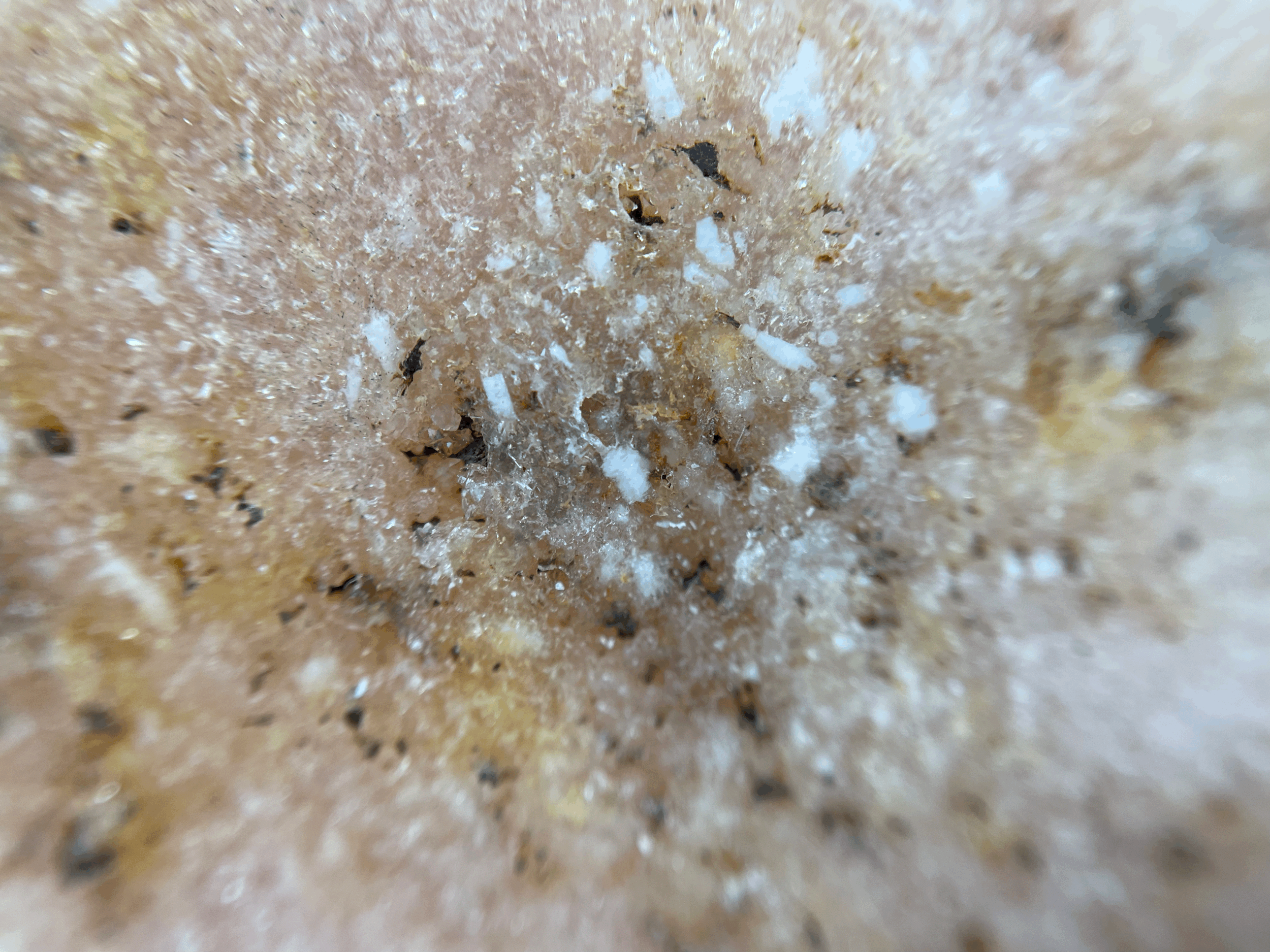 tempImage3hc54q.gif