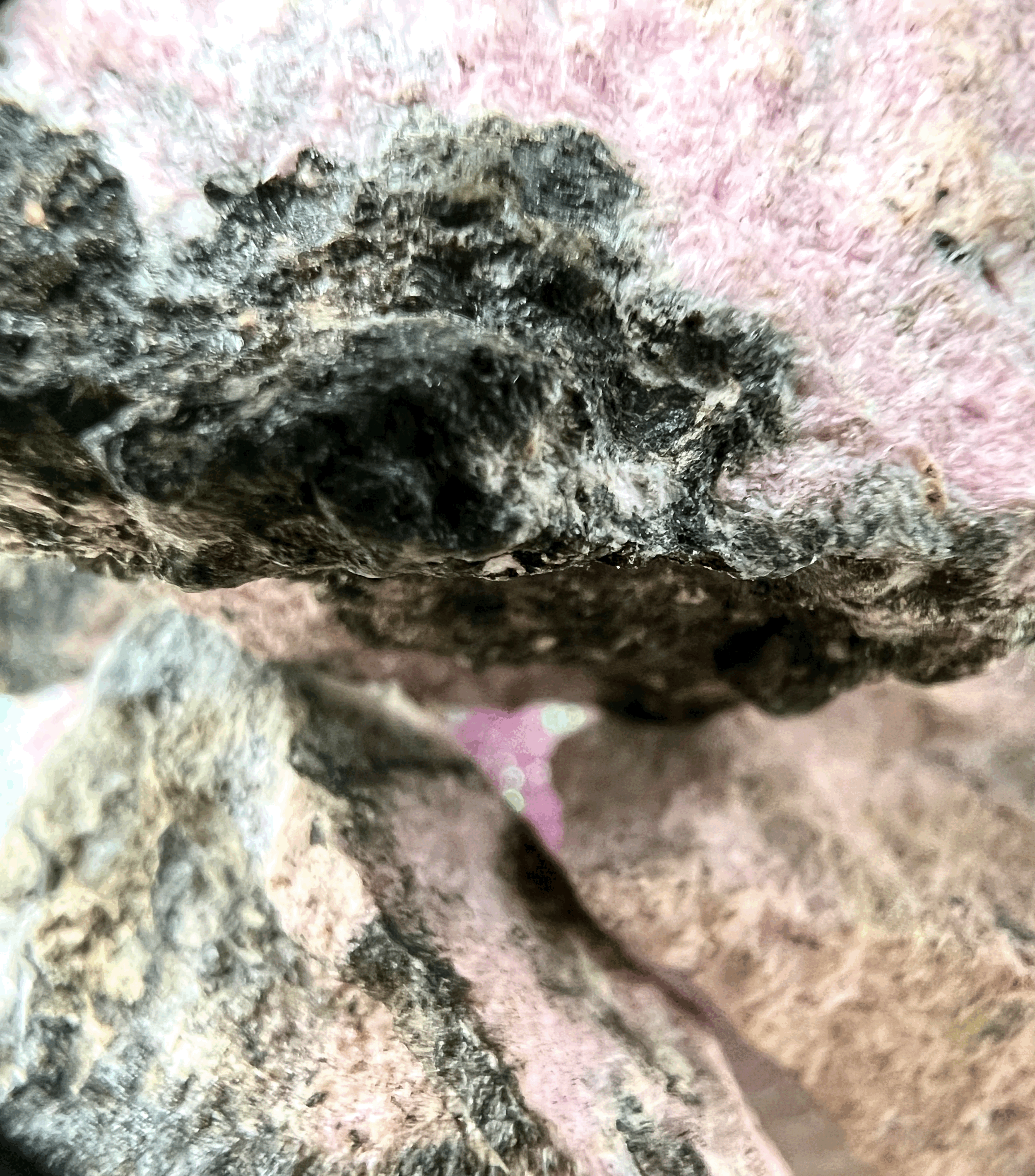tempImagefmRmg8.gif