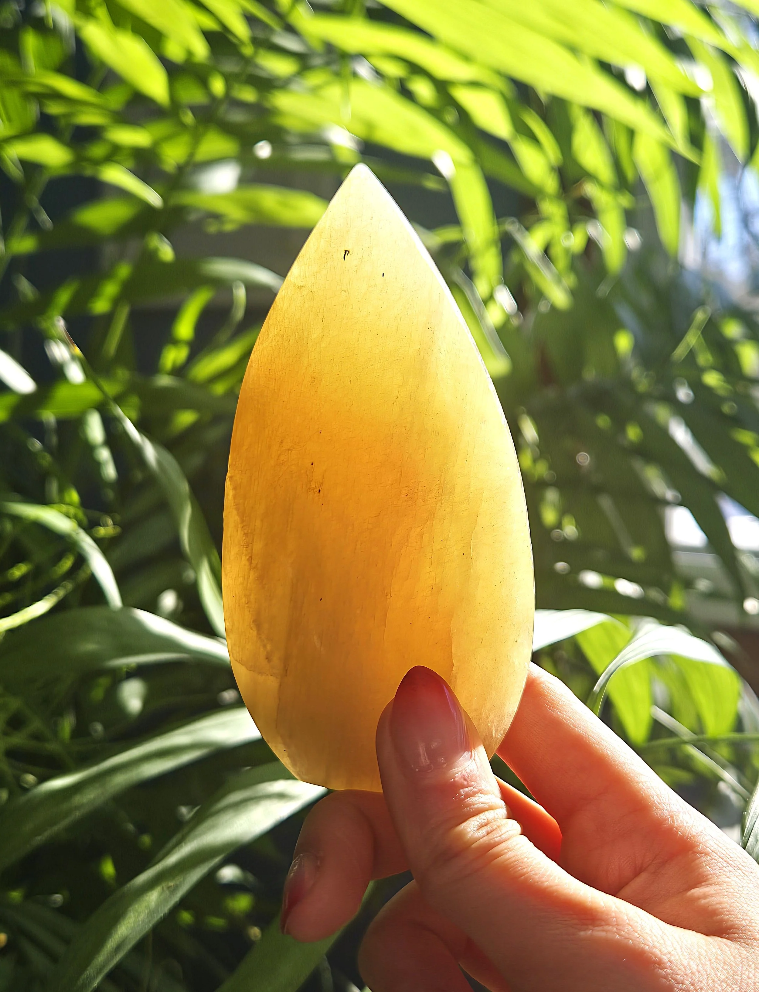 20260209_133613 edit.jpg