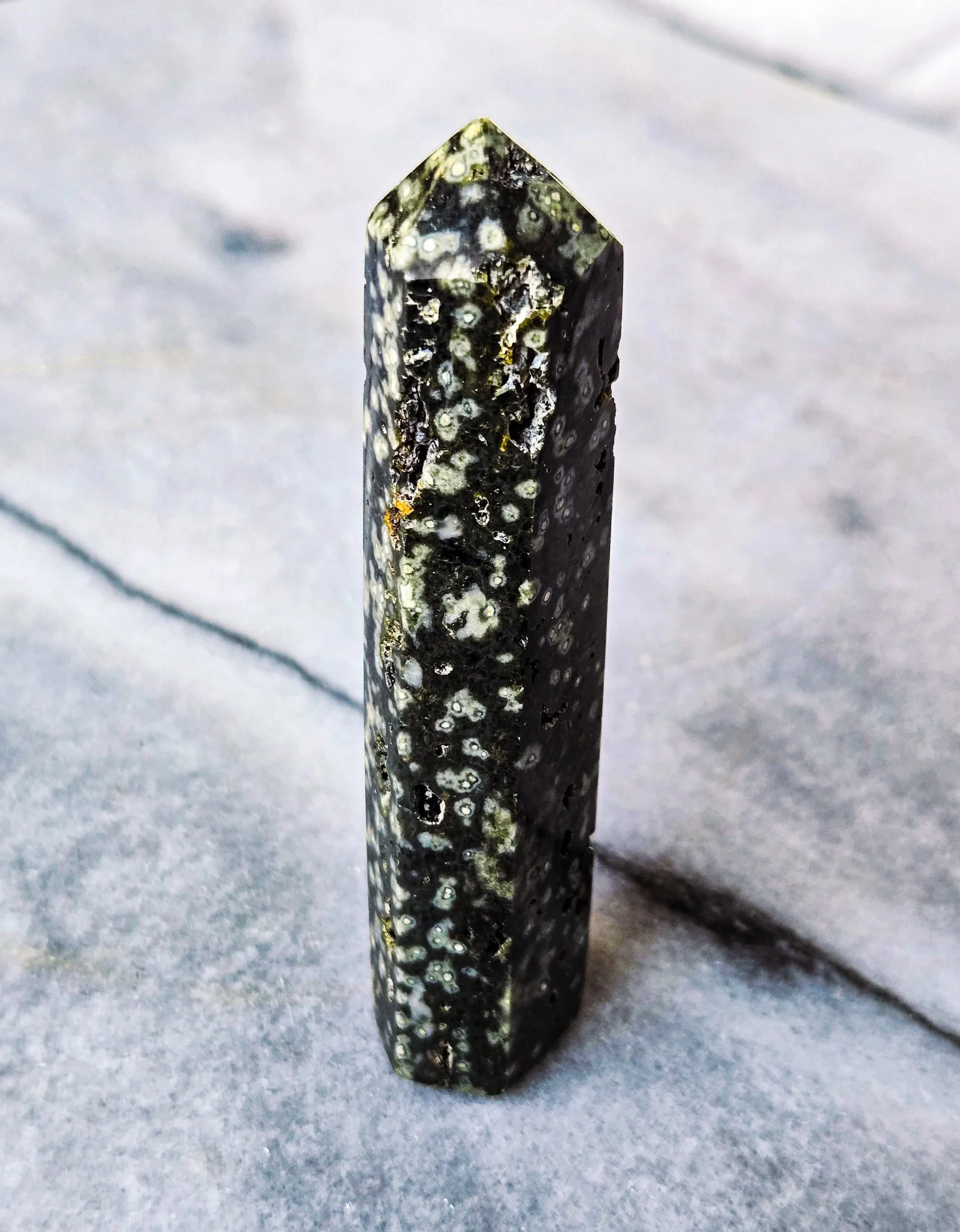 Shared from Lightroom mobile(5).jpg