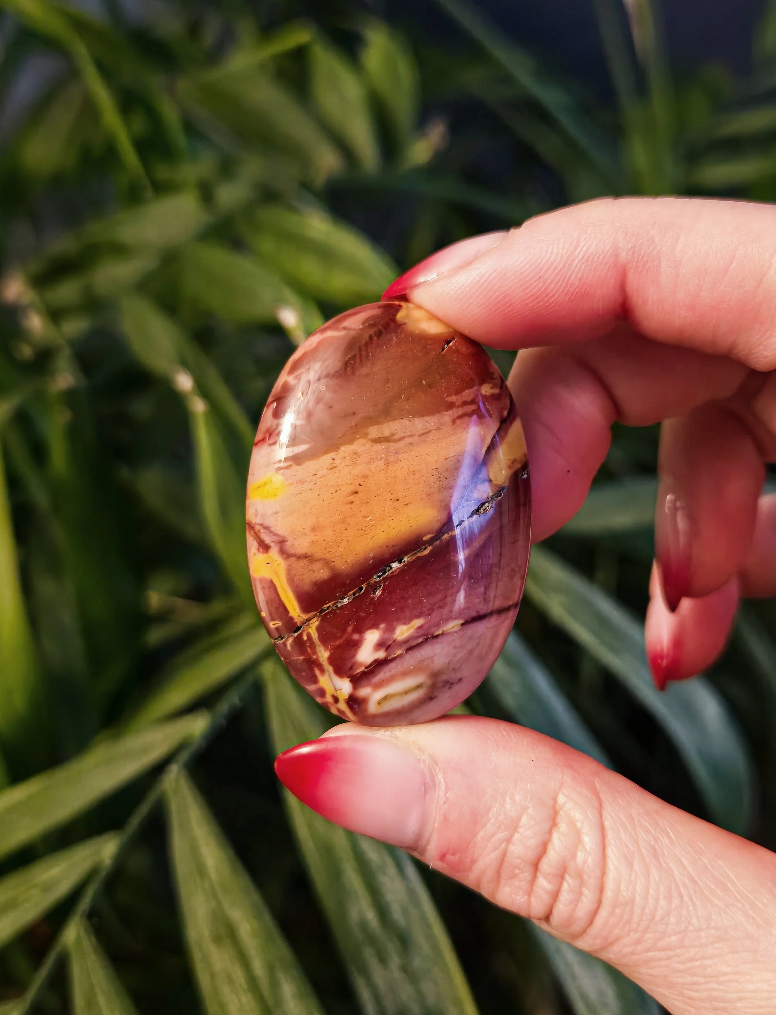 20260203_172544 (1).jpg