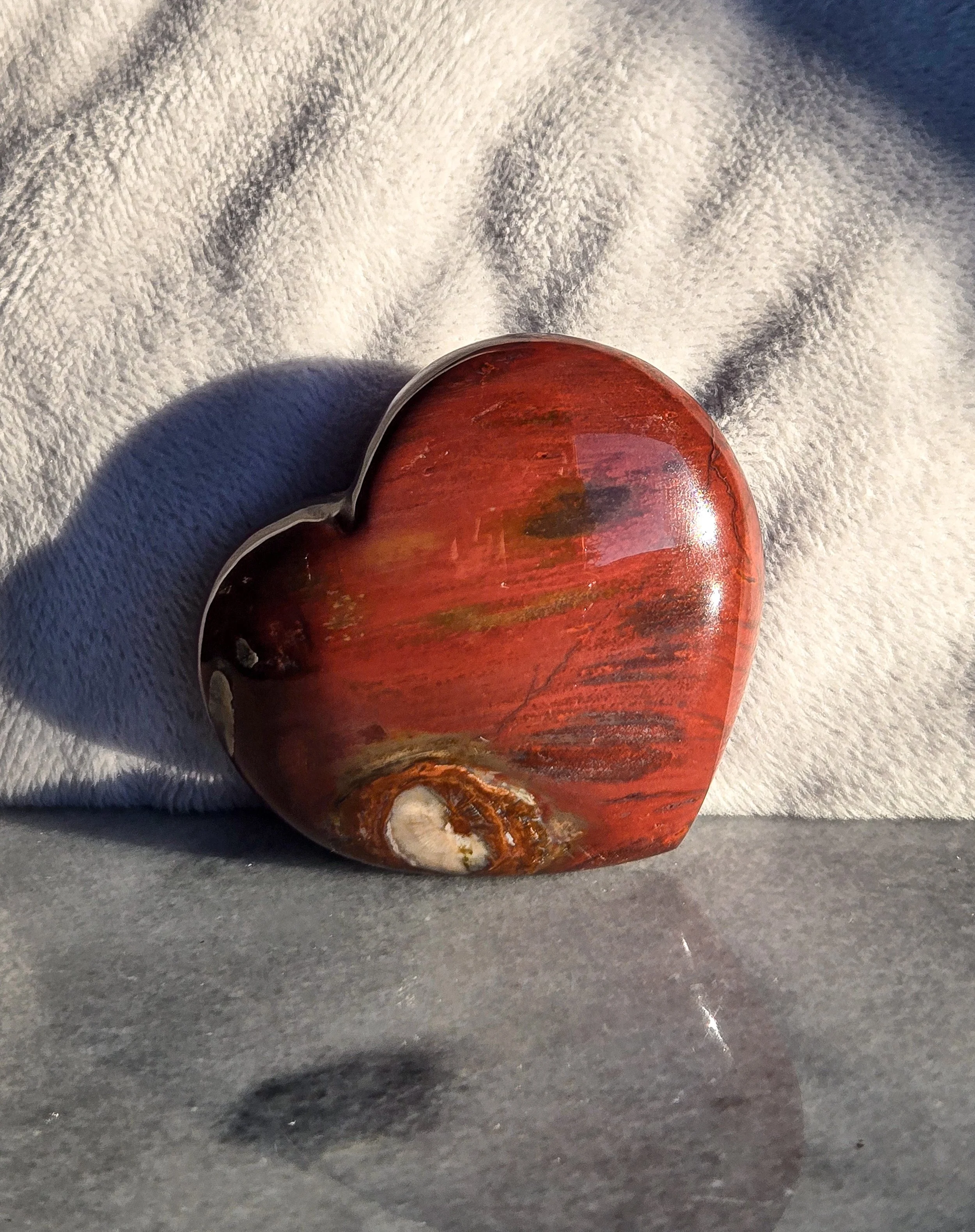 20260202_155858 (1).jpg