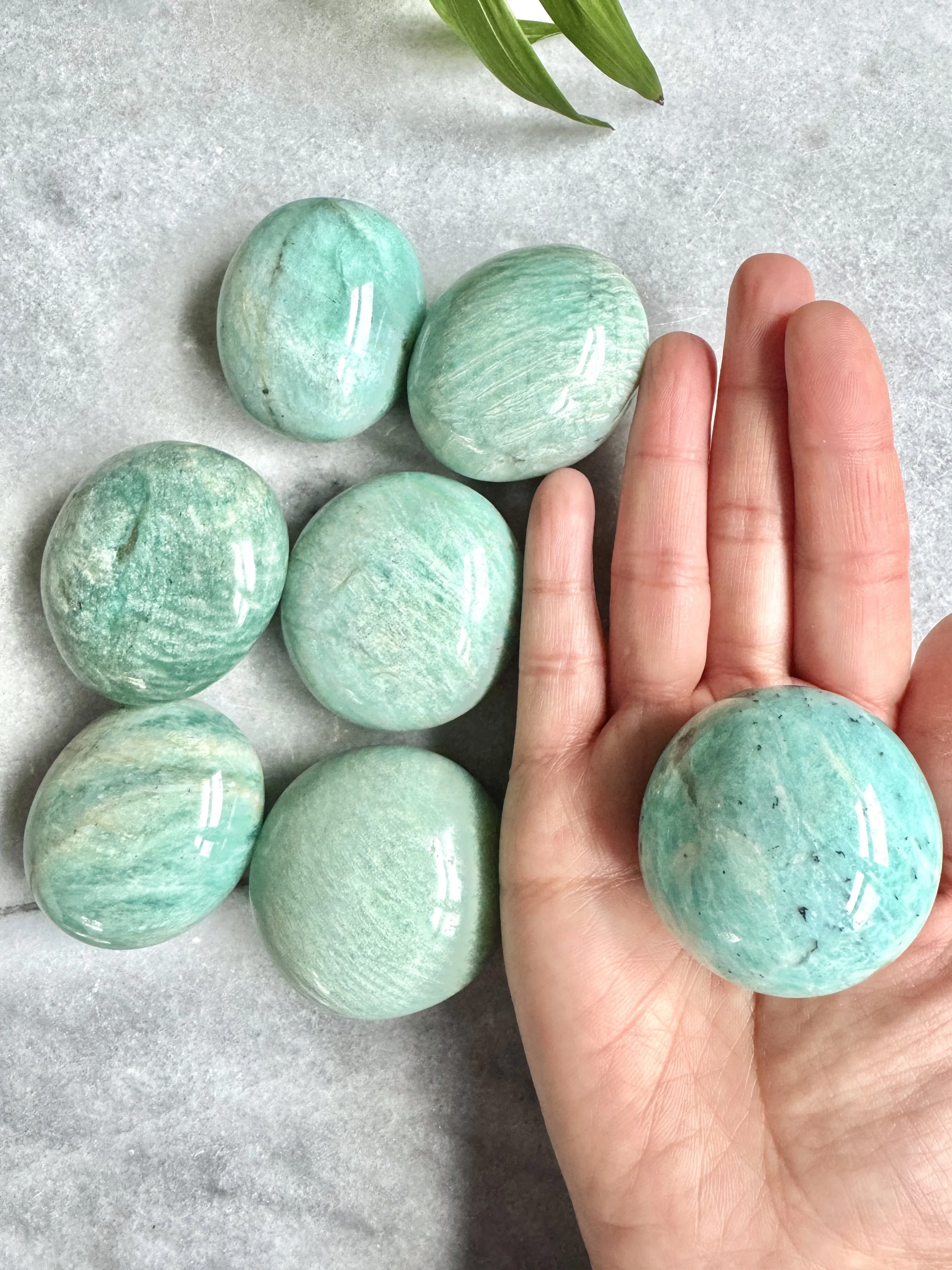 amazonite_roundpalm2.jpg