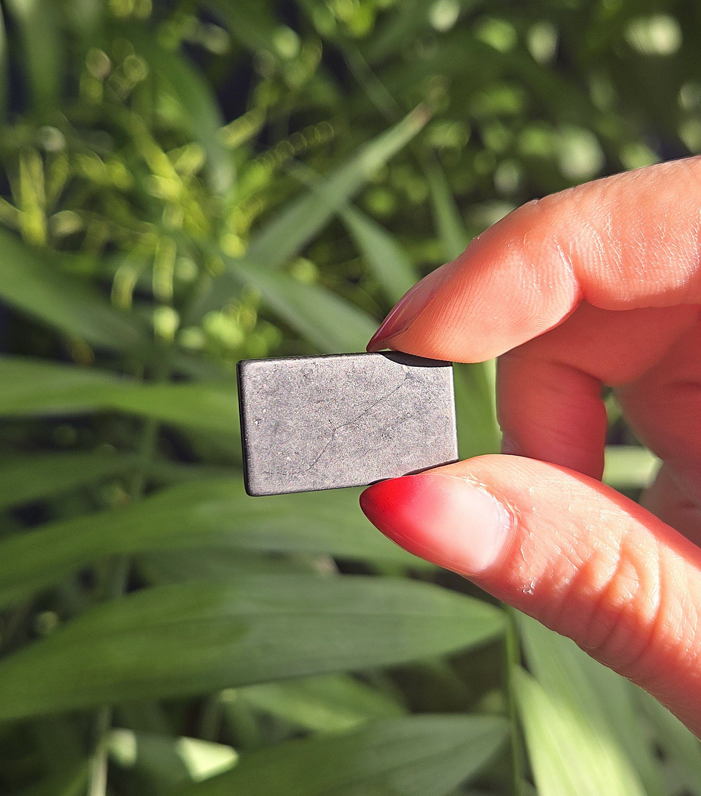 20260209_152308 edit.jpg