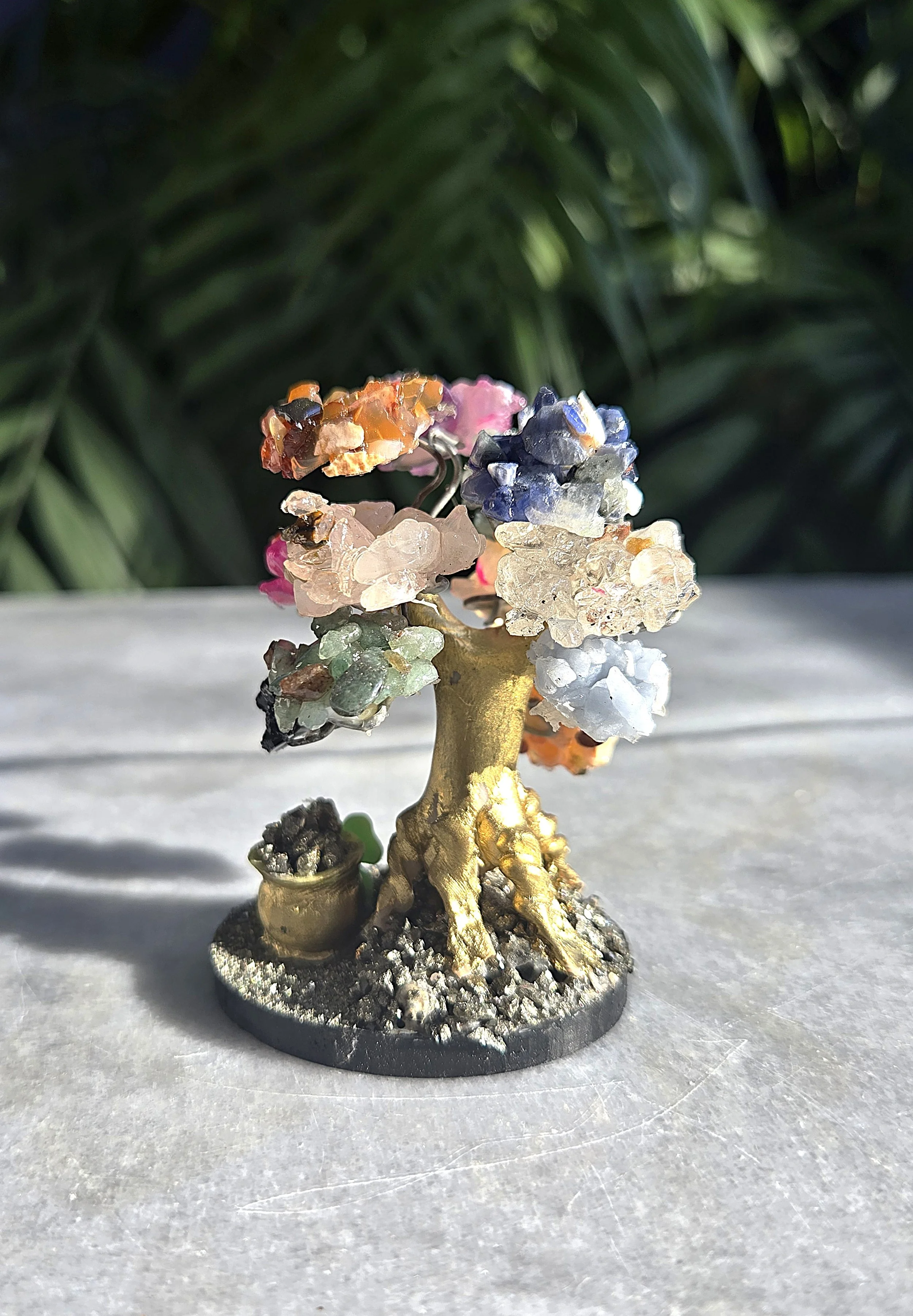 20260209_143551 edit.jpg