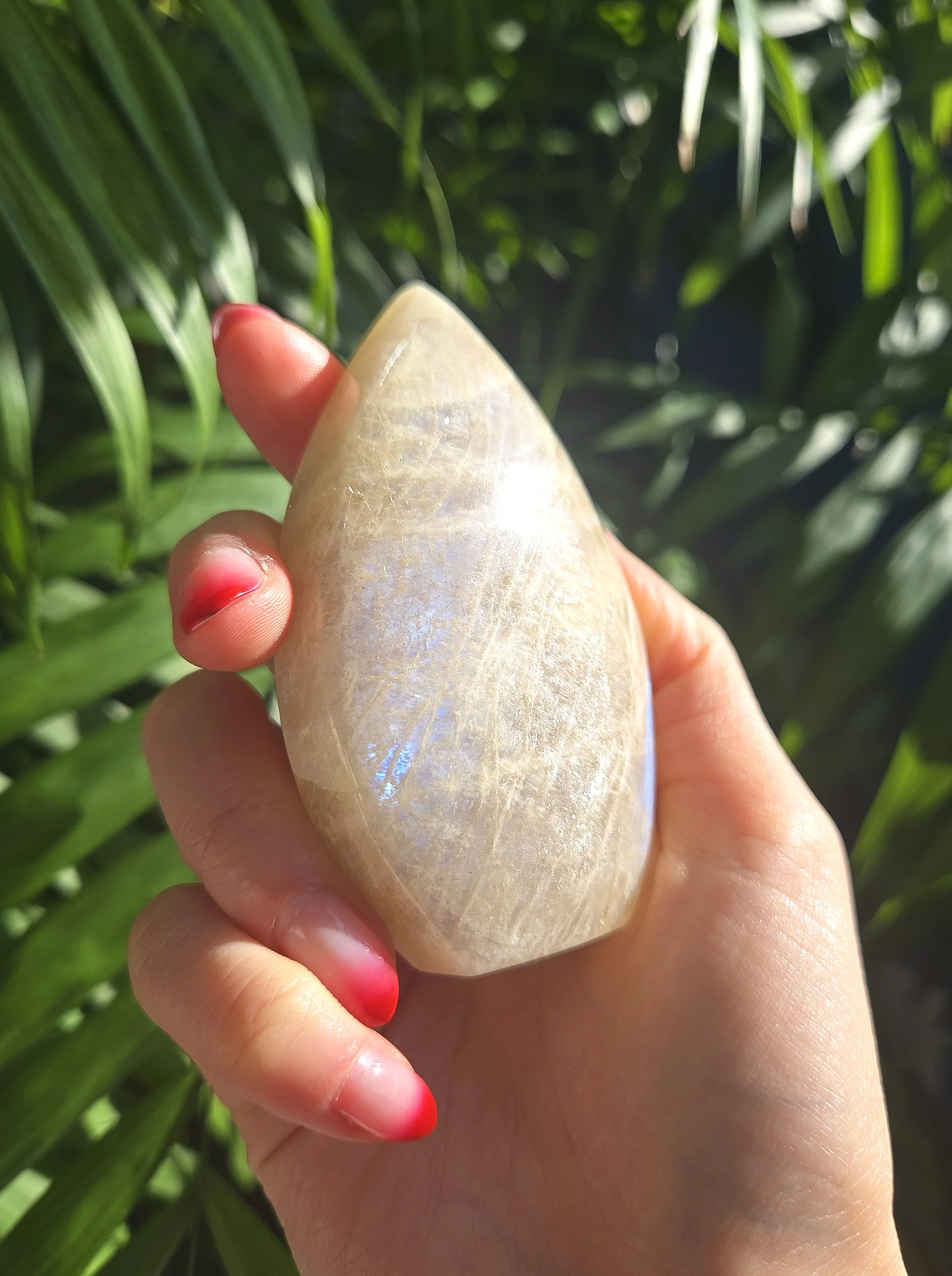 20260209_132201 edit.jpg