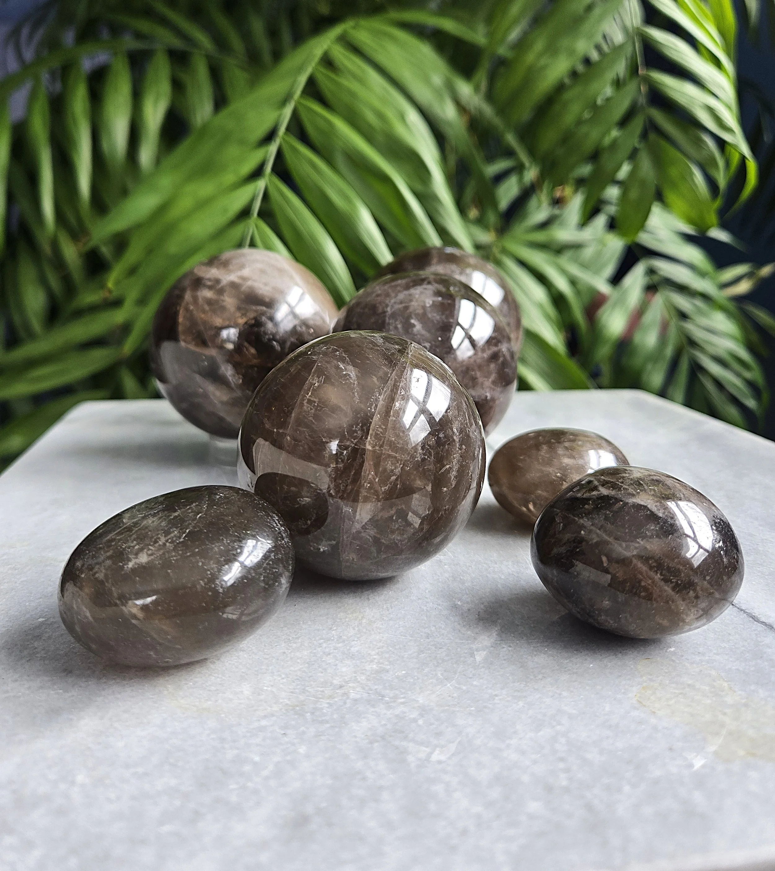 20260216_135958 edit.jpg