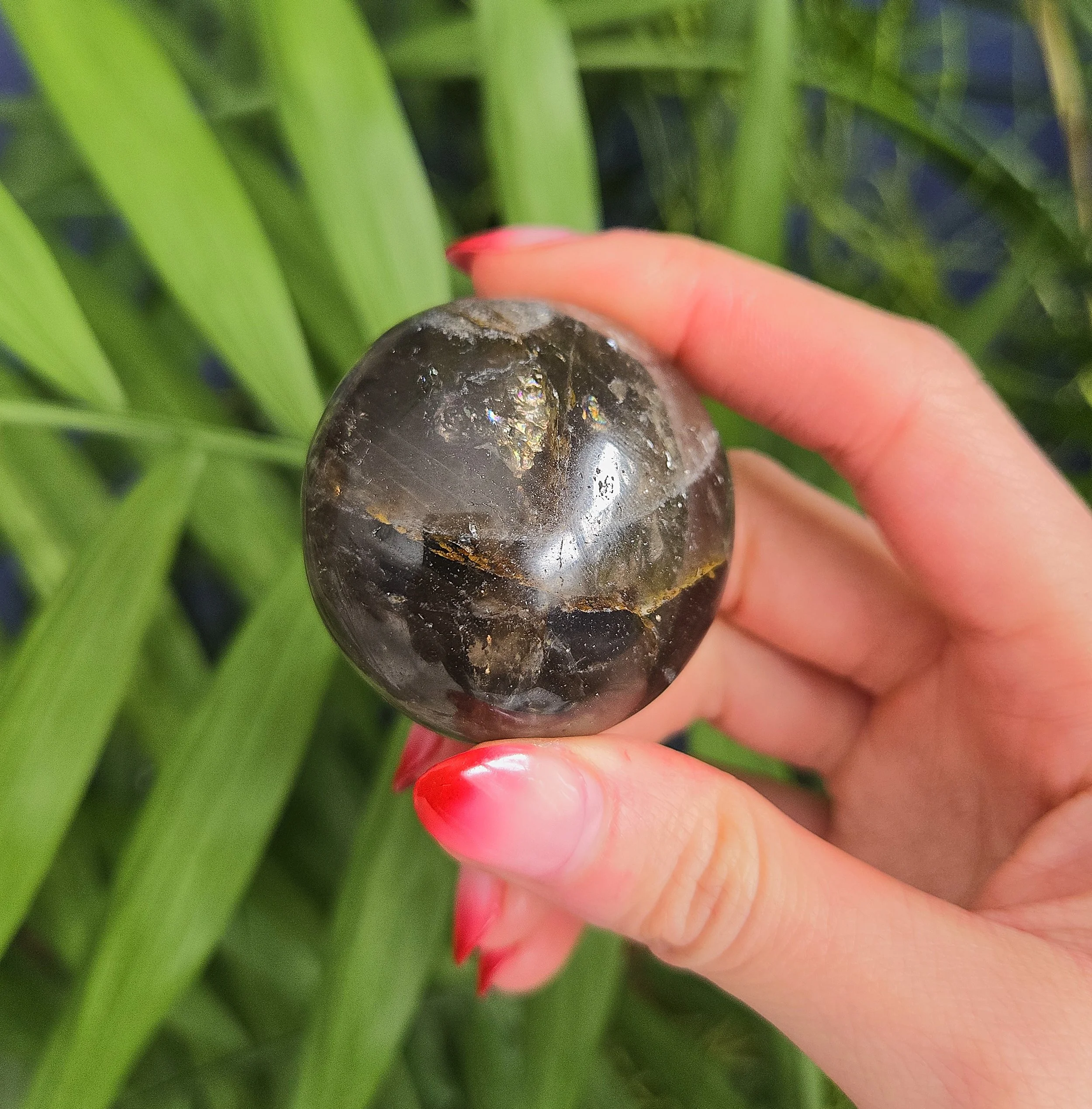 20260216_140820 edit.jpg