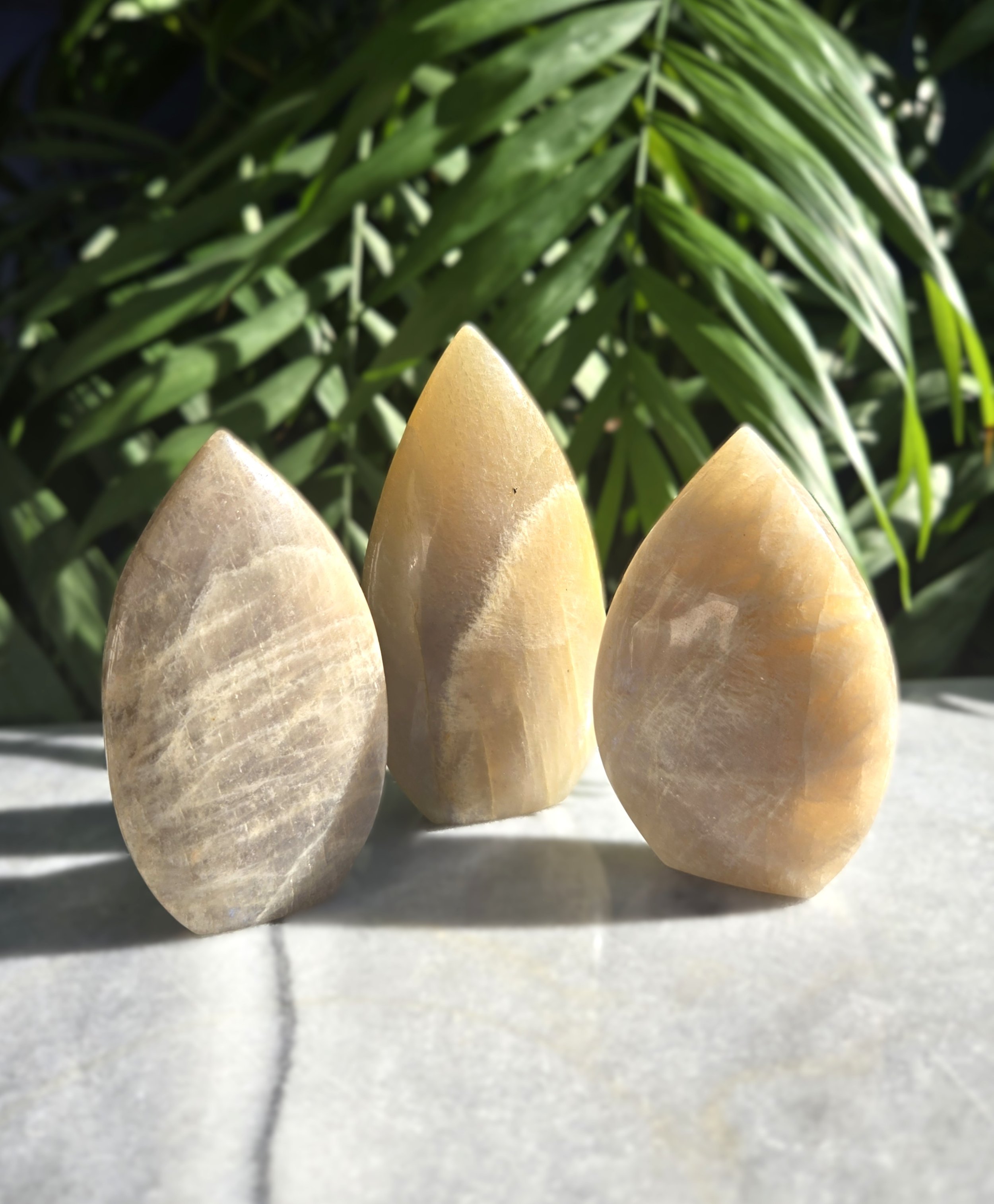 20260209_132132 edit.jpg