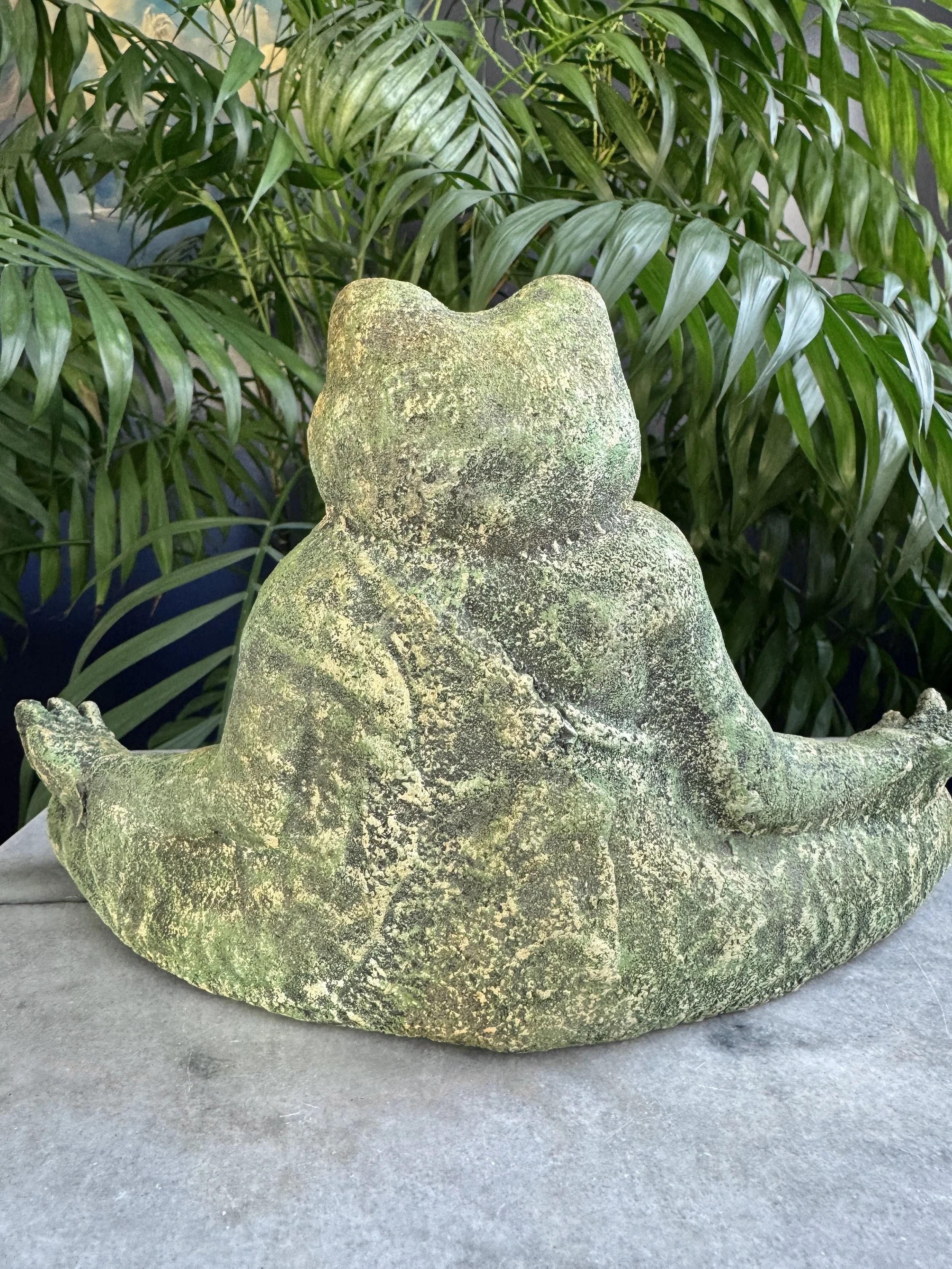 yogafrog3.jpg