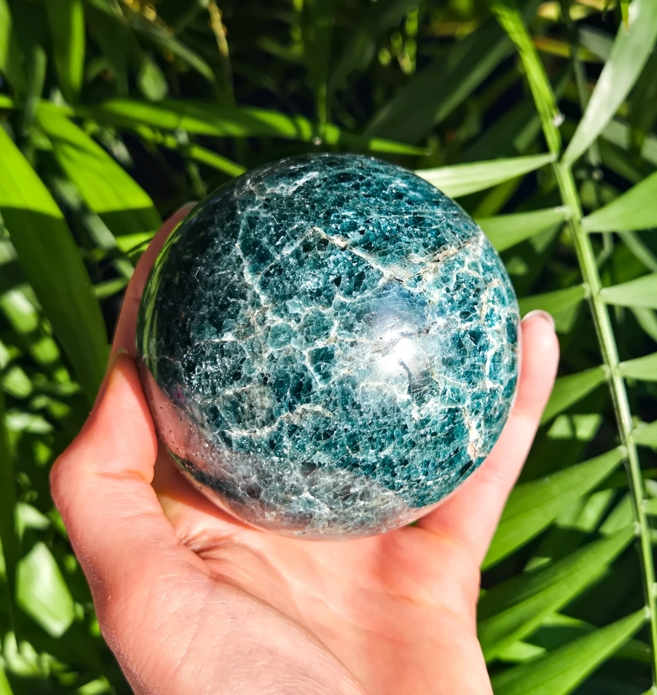 20260120_142856 (1).jpg