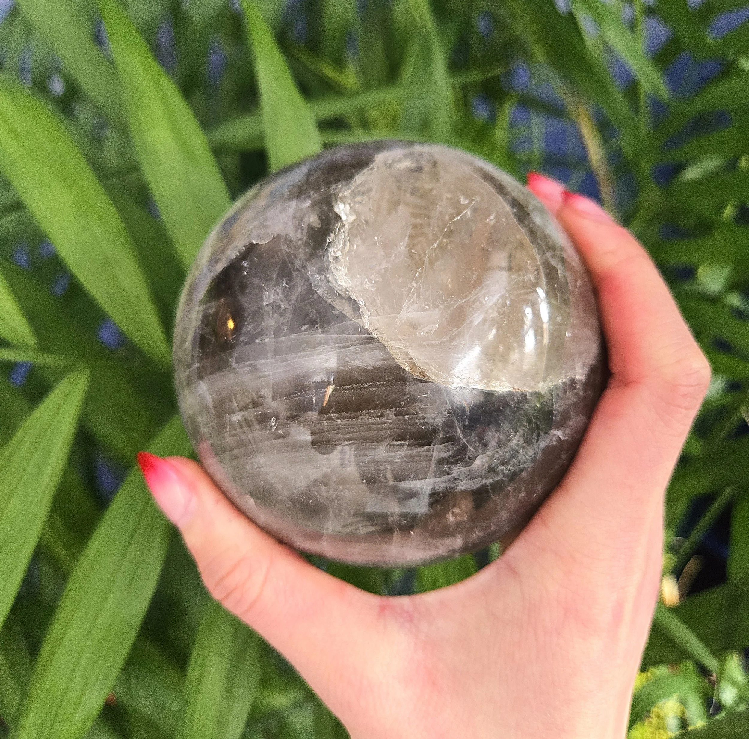 20260216_150944 edit.jpg