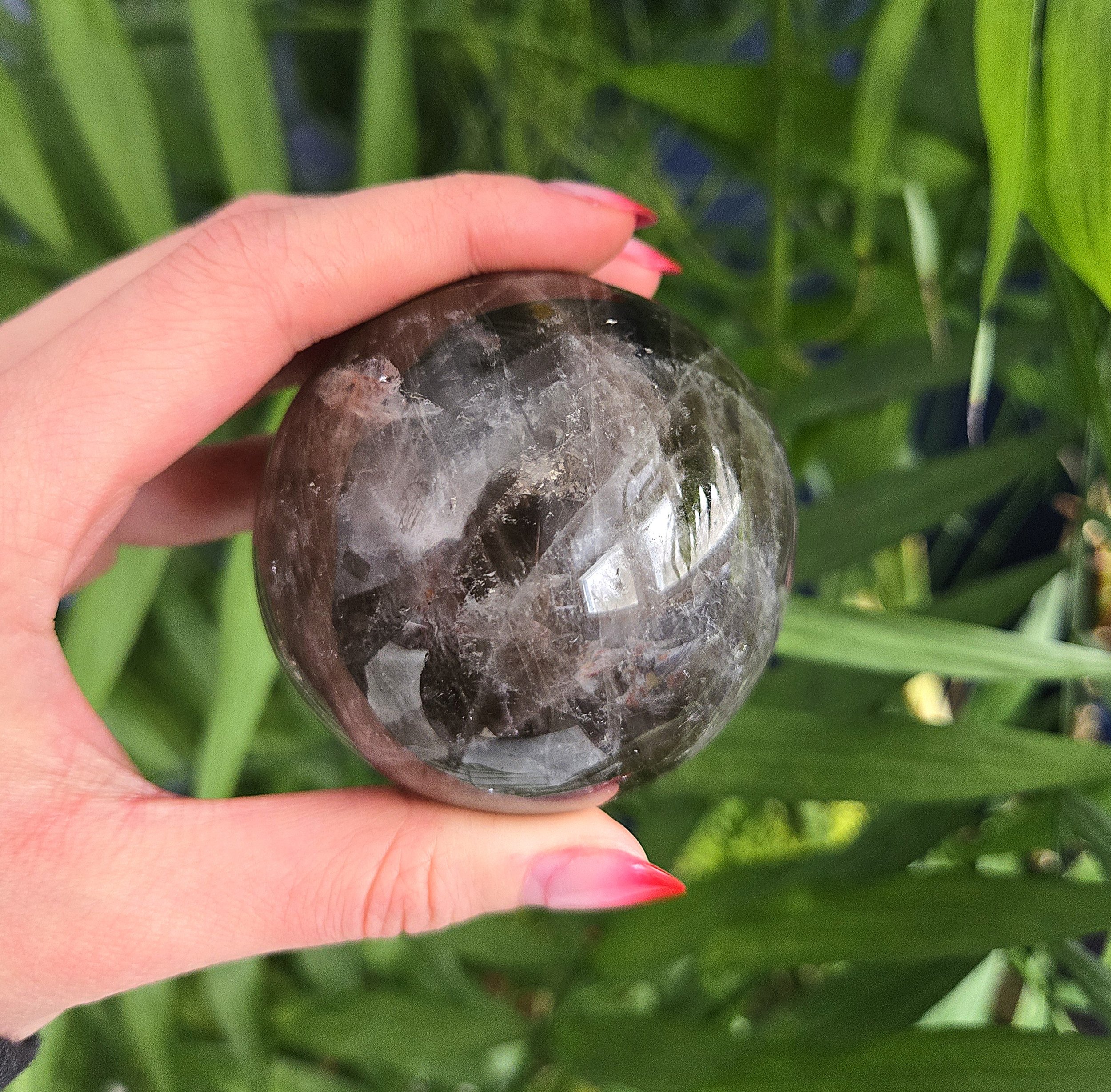 20260216_145749 edit.jpg