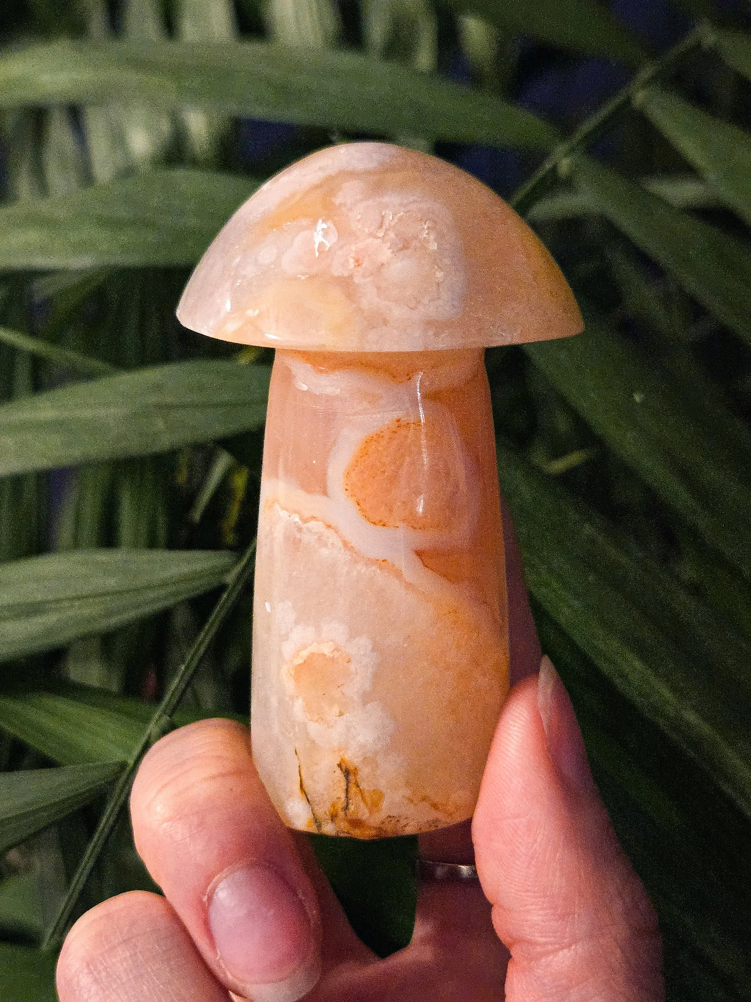 20251216_170503 (1).jpg