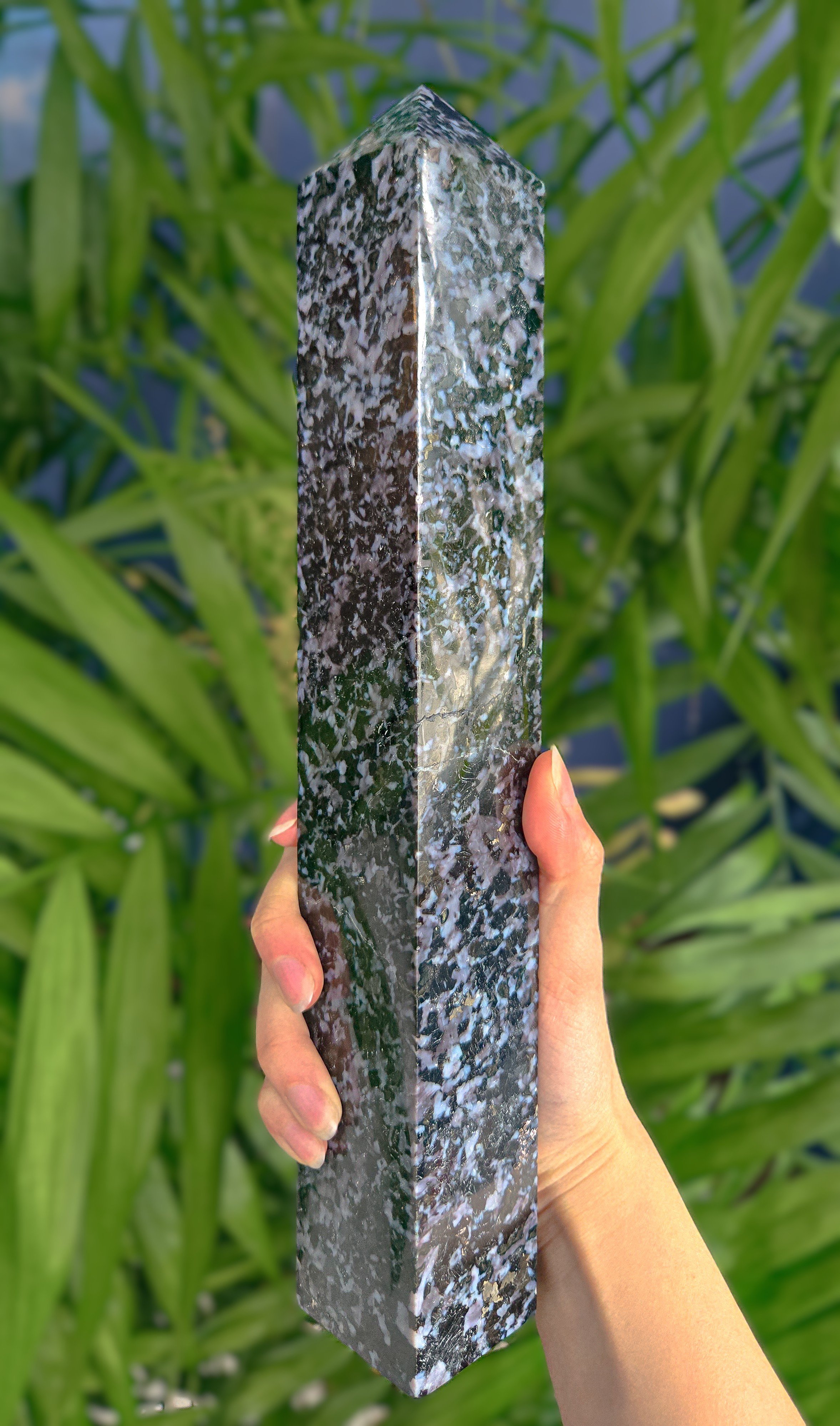 20260127_143255 (2).jpg