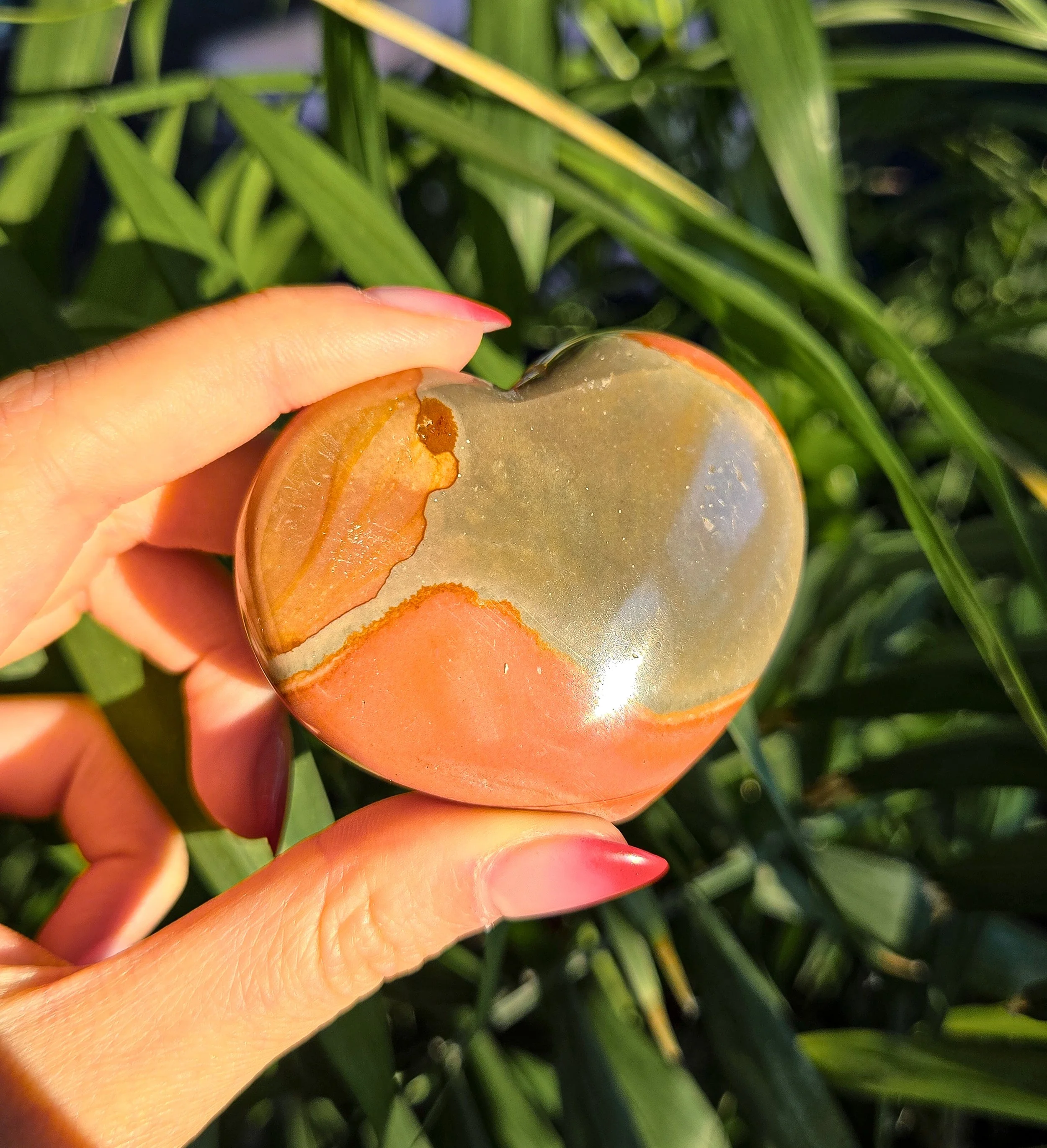 20260202_160115 (1).jpg