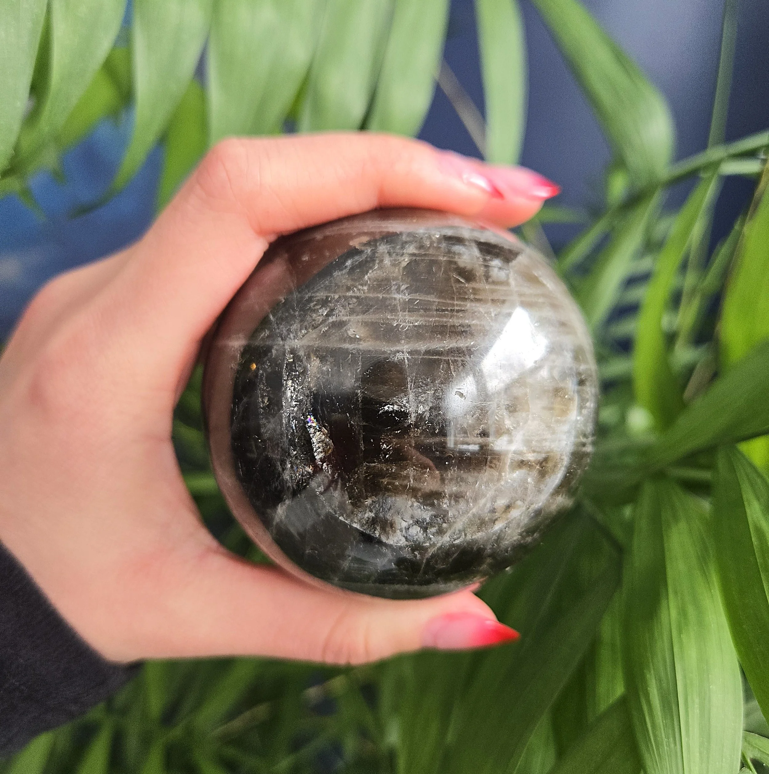 20260216_145510 edit.jpg