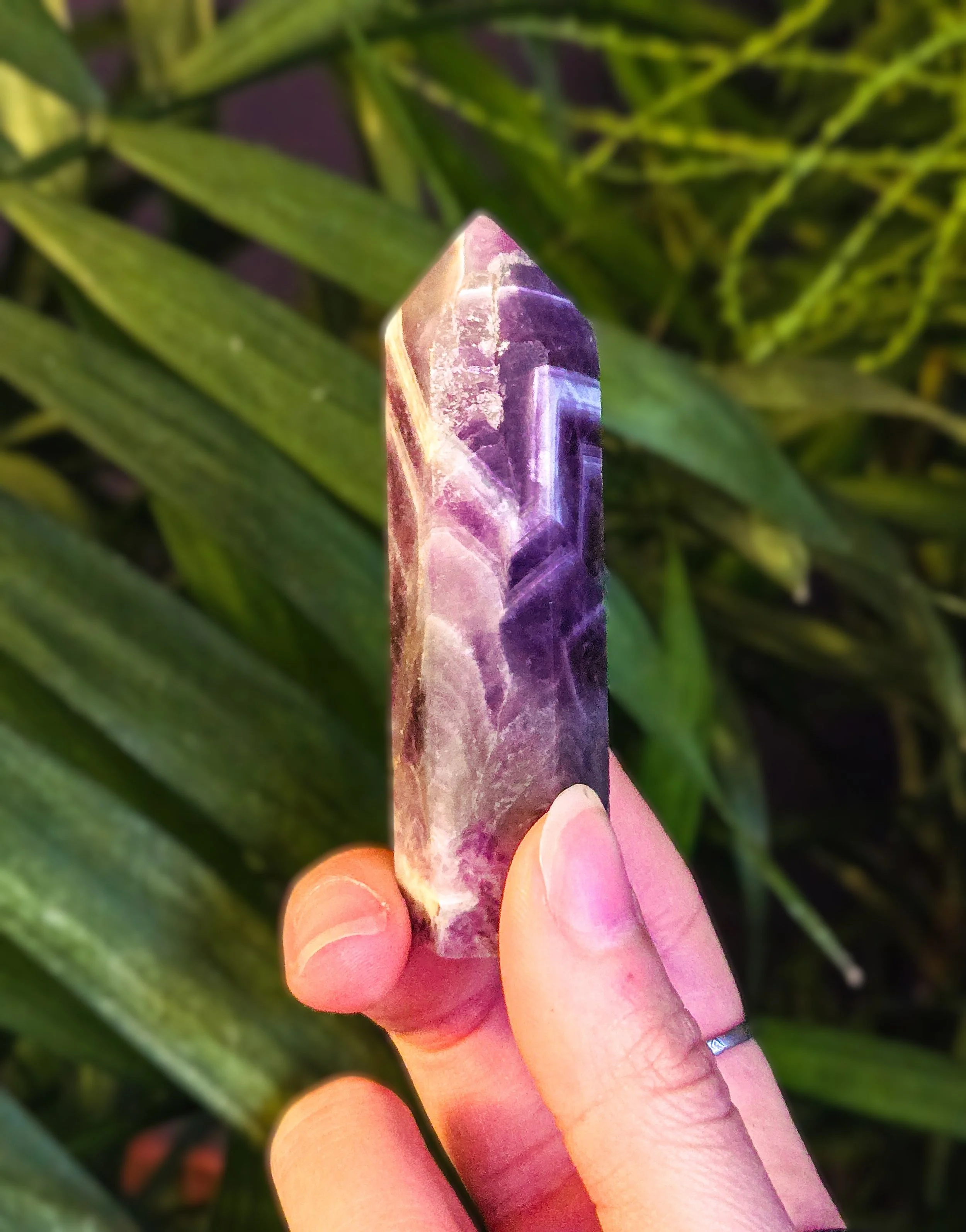 20251216_163407 (1).jpg