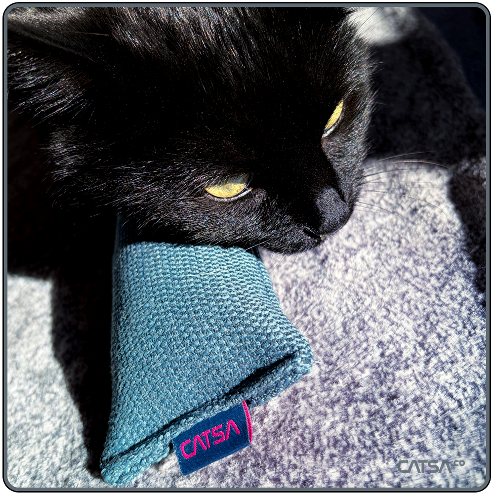 CATSA_kickstick03_07.png
