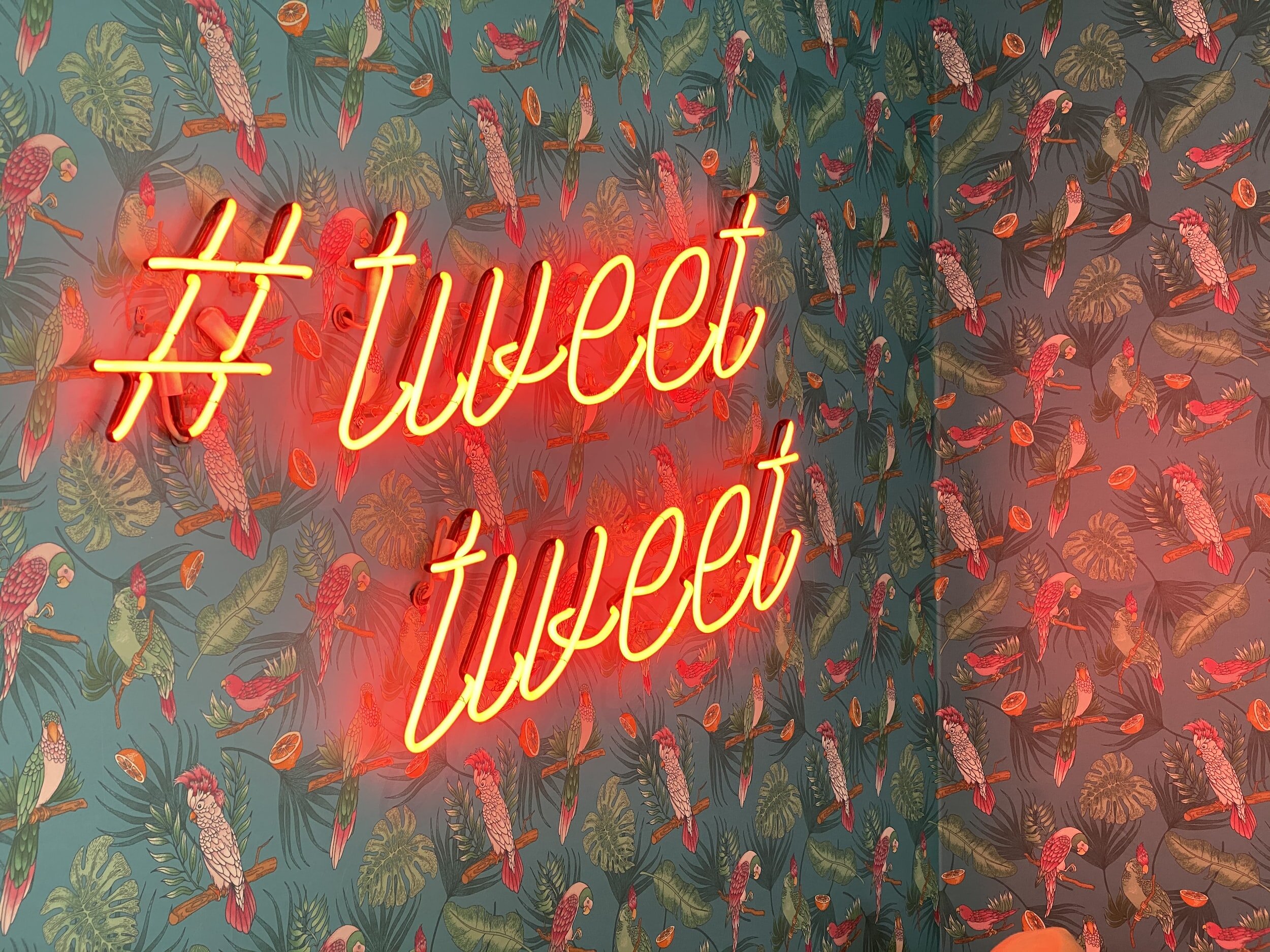 Return to Twitter
