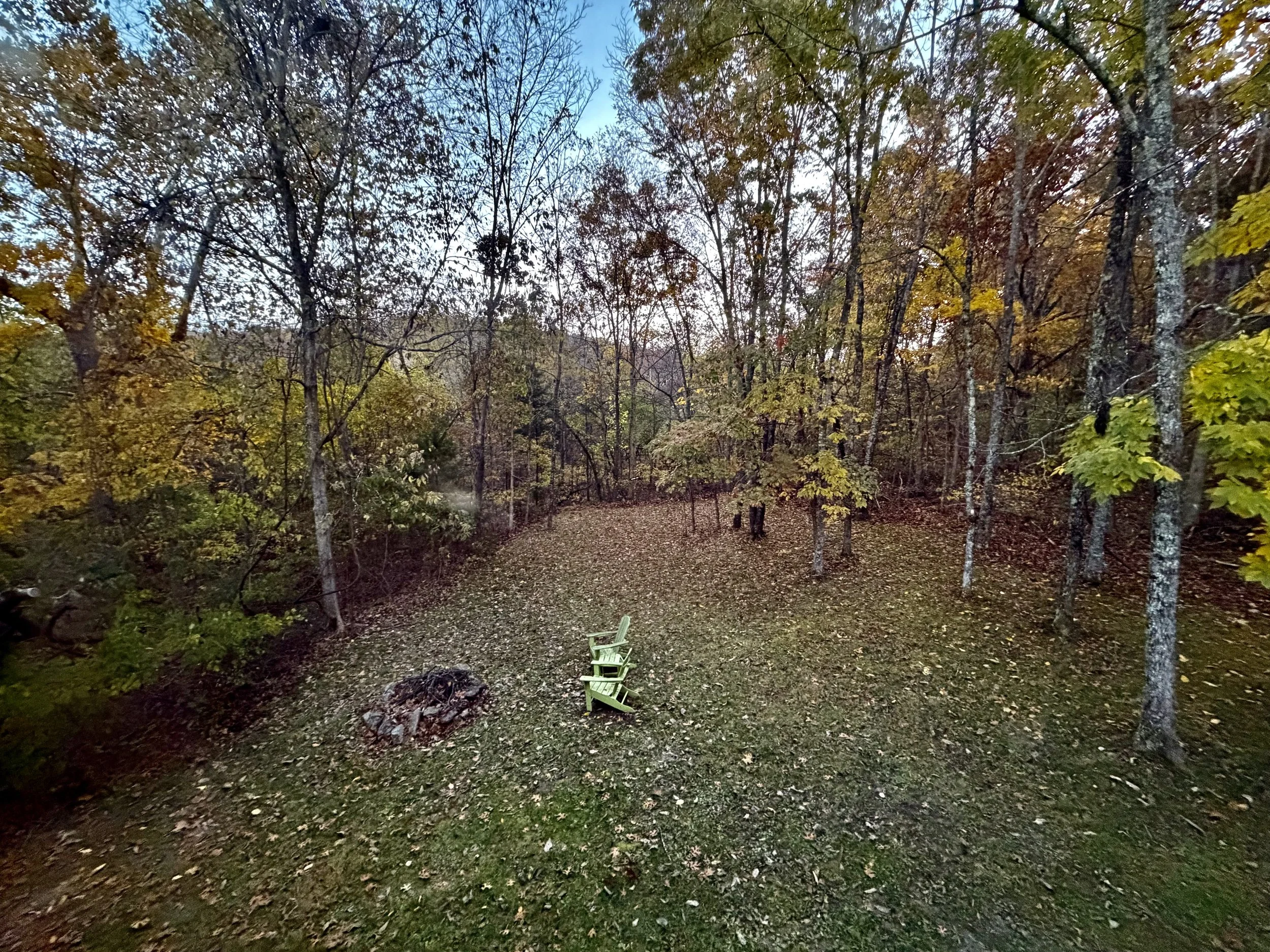 Four Years of Change