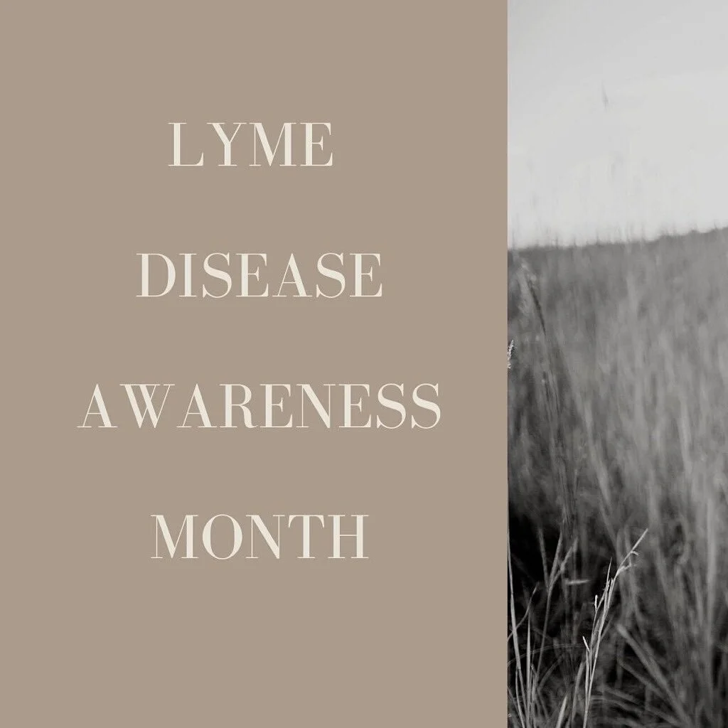 May is Lyme Disease Awareness Month 💚

While I&rsquo;ve shared some of my story, I haven&rsquo;t shared true behind the scenes of what it&rsquo;s been like. Mostly because it&rsquo;s still a lot to process and it&rsquo;s hard to talk about. But I th
