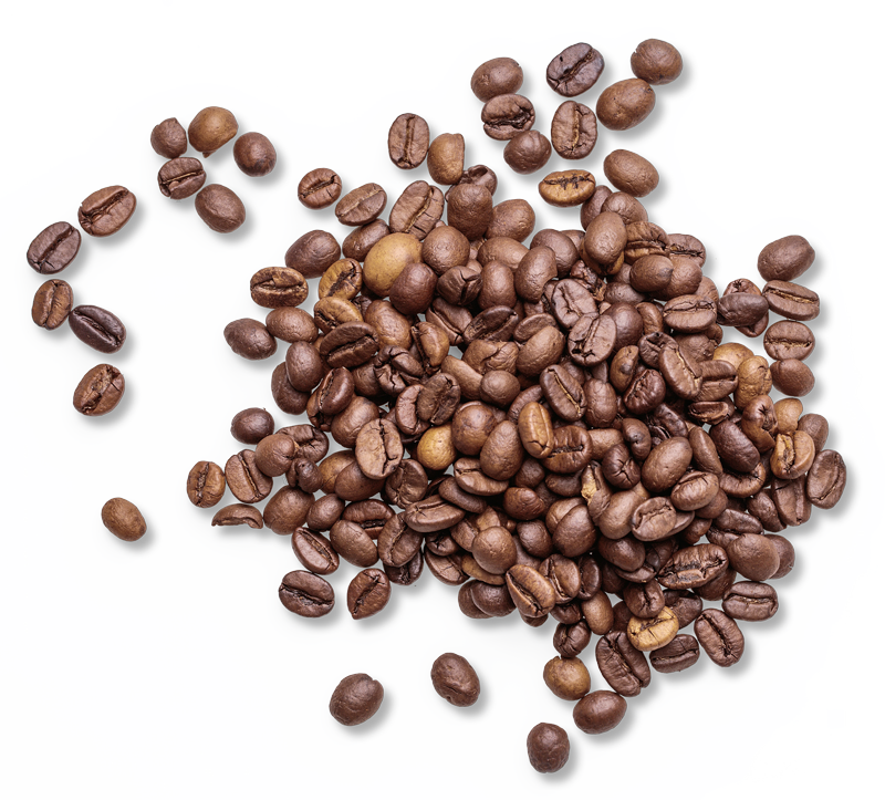 Coffee Bean