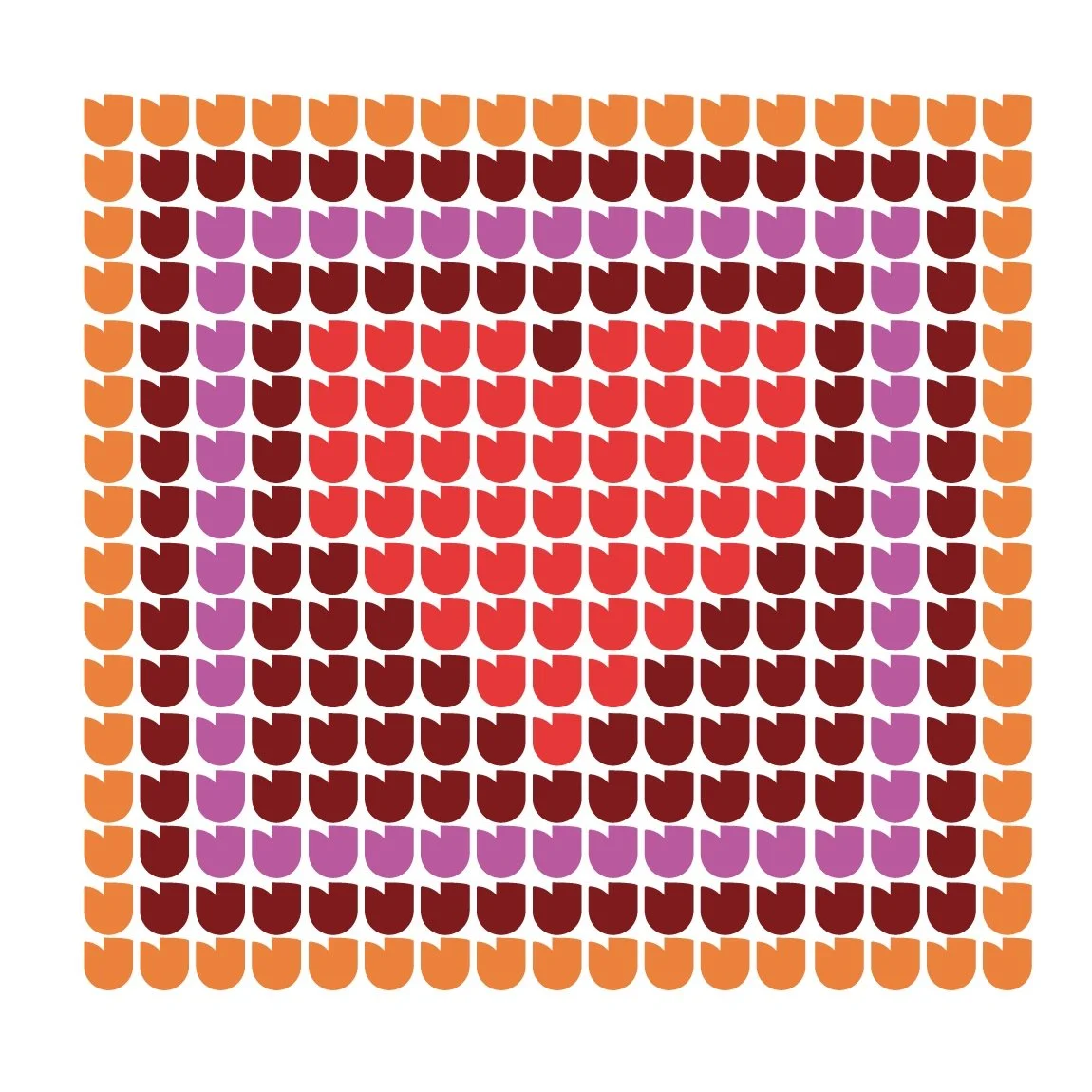 Screen Shot 2019-05-30 at 10.13.32 AM.jpg