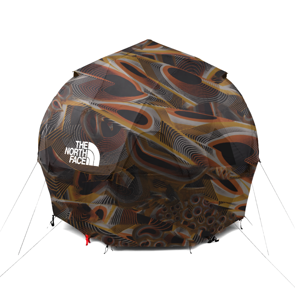 Michael_Robinson_DSS_Concept_3.png