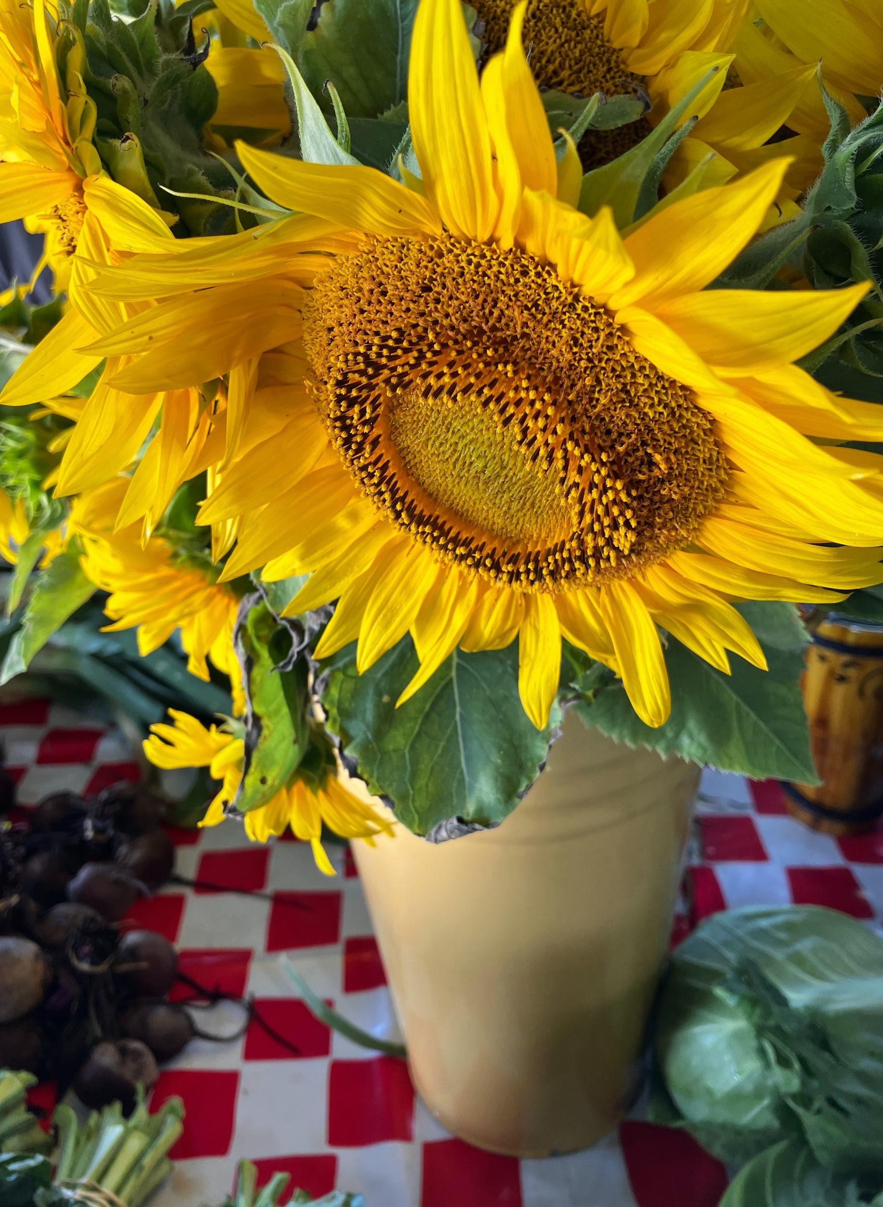 BFM Donnas Sunflower Vase.jpg