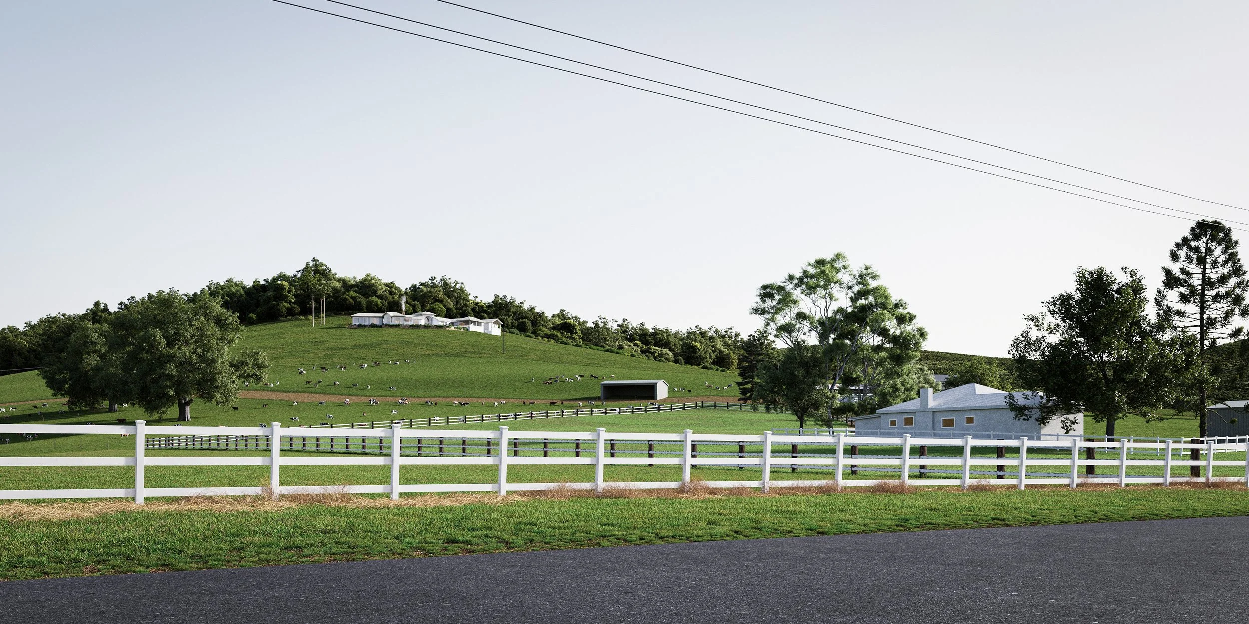 1610_Nadine_Rogers_Ext RoadView2_240607.jpg