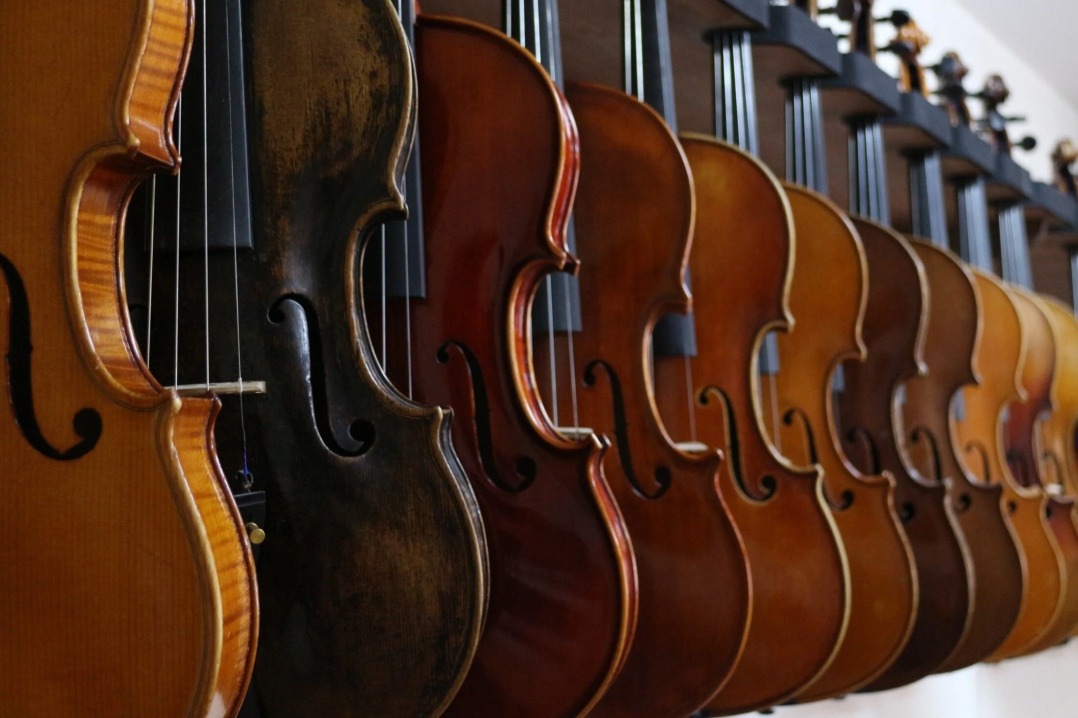 violin-three.jpg