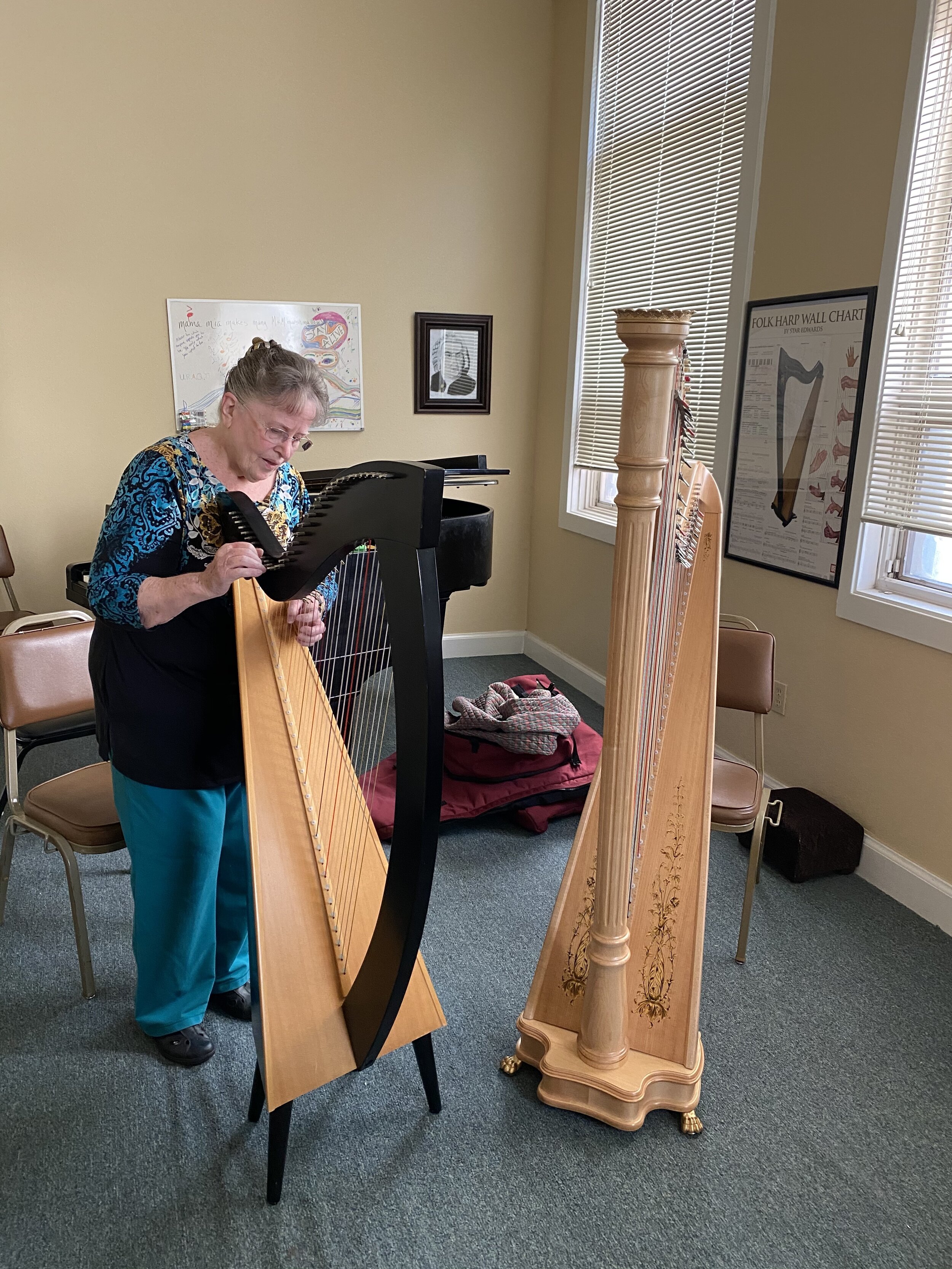 Marj Cooke, teaches Harp, Ukulele, Piano, and more!