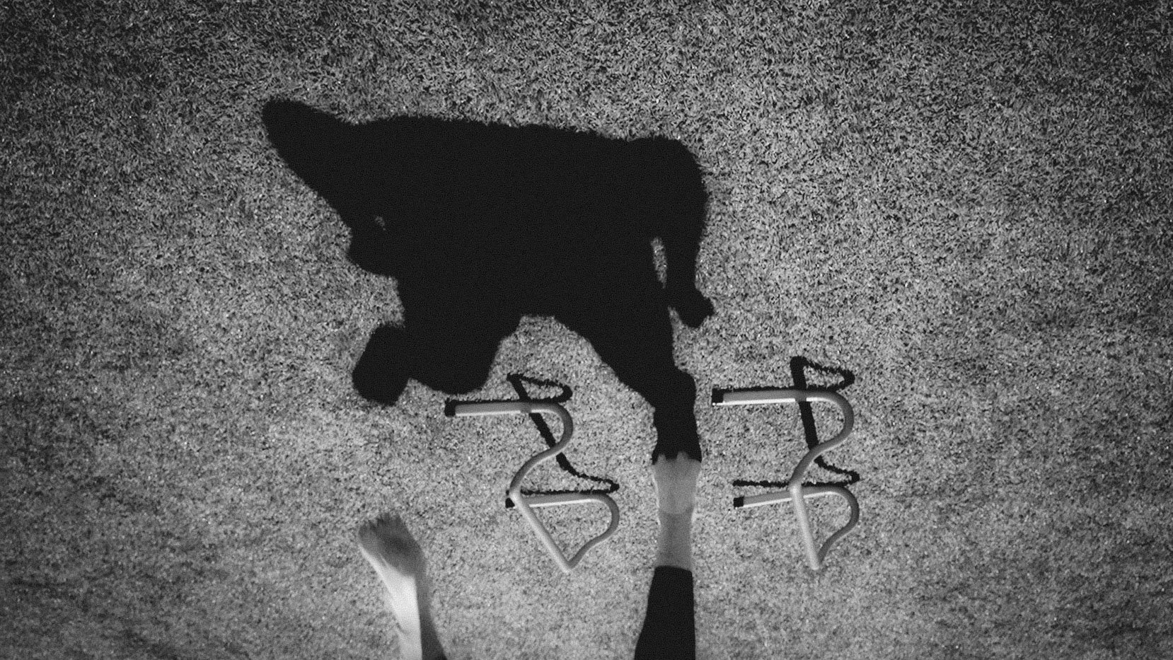 FIELD WORK CLIPS.00_00_49_15.Still018_BM.jpg
