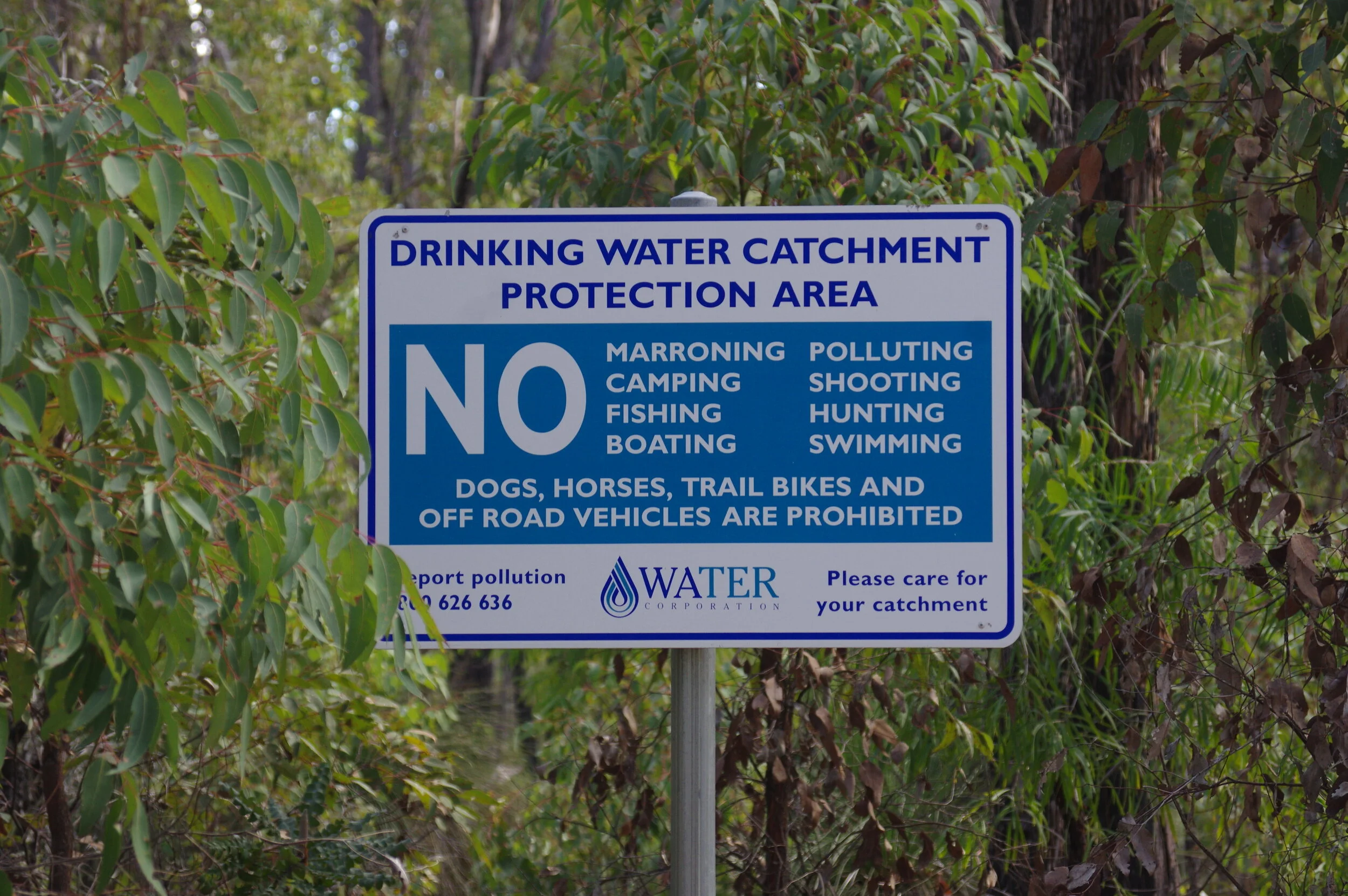 DWELLINGUP DISCOVERY FOREST